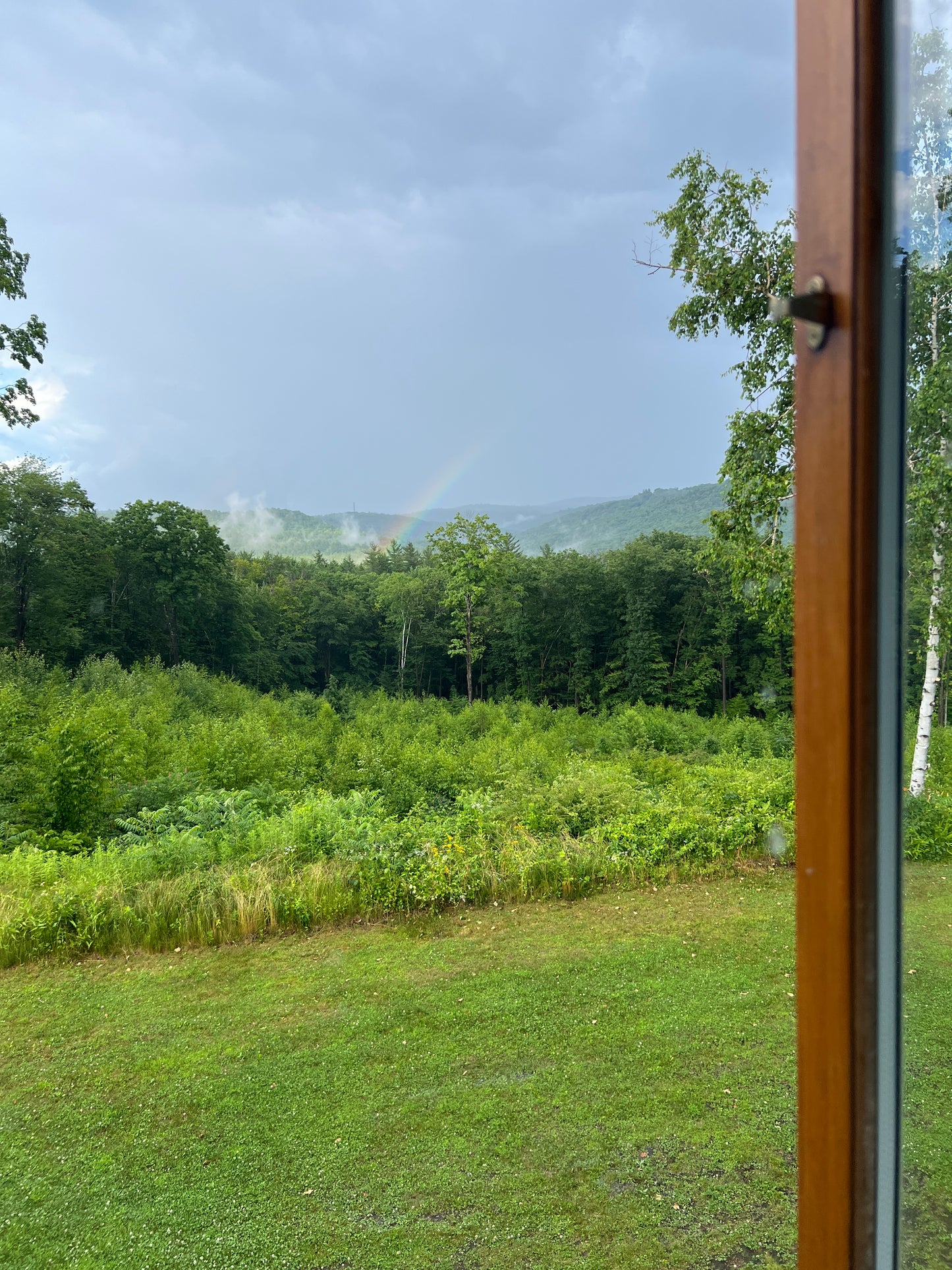 View from inside a vehicle showing a road with trees and mountains in the distance.