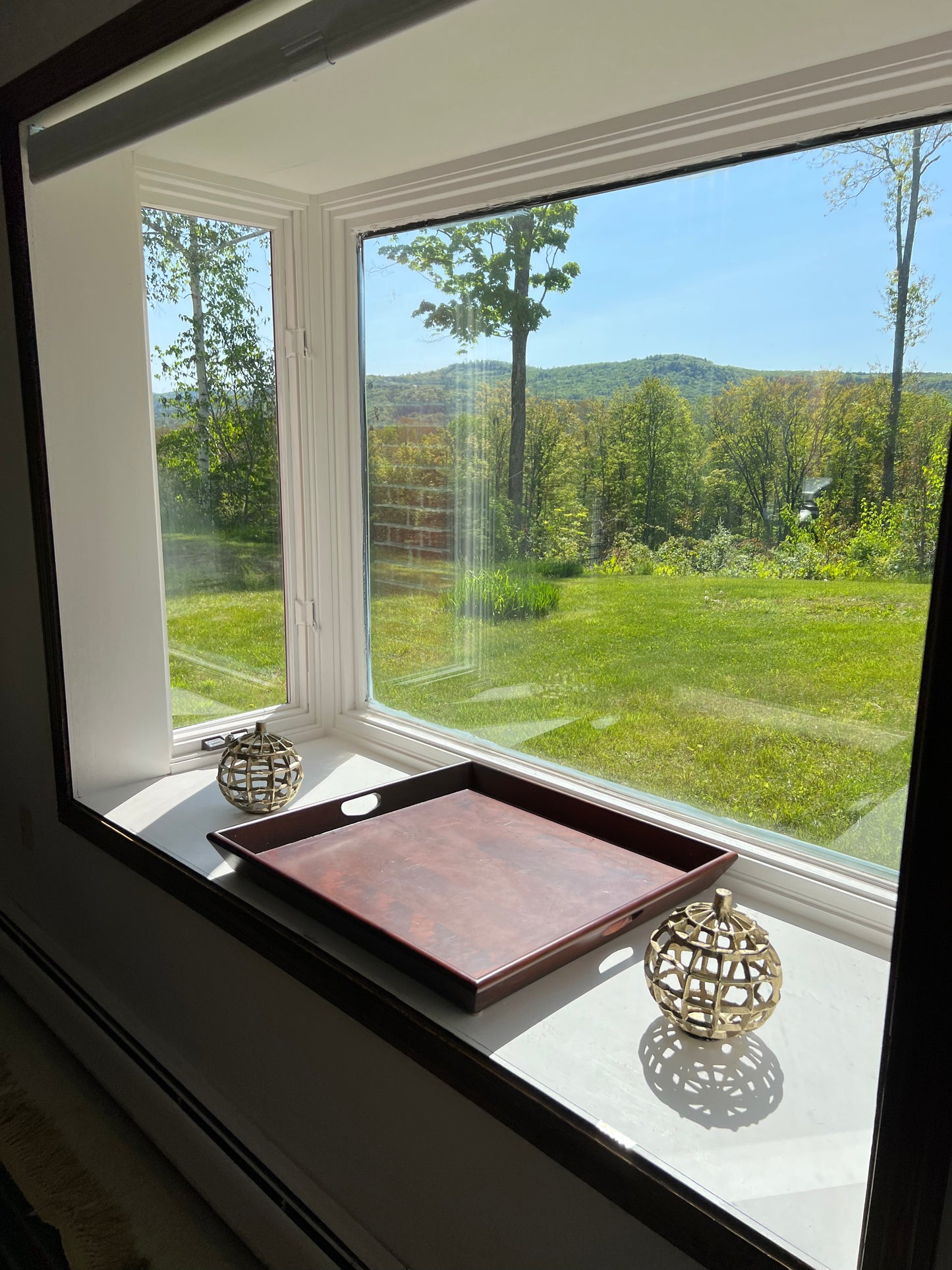 Window sill with decorative items and view of greenery outside