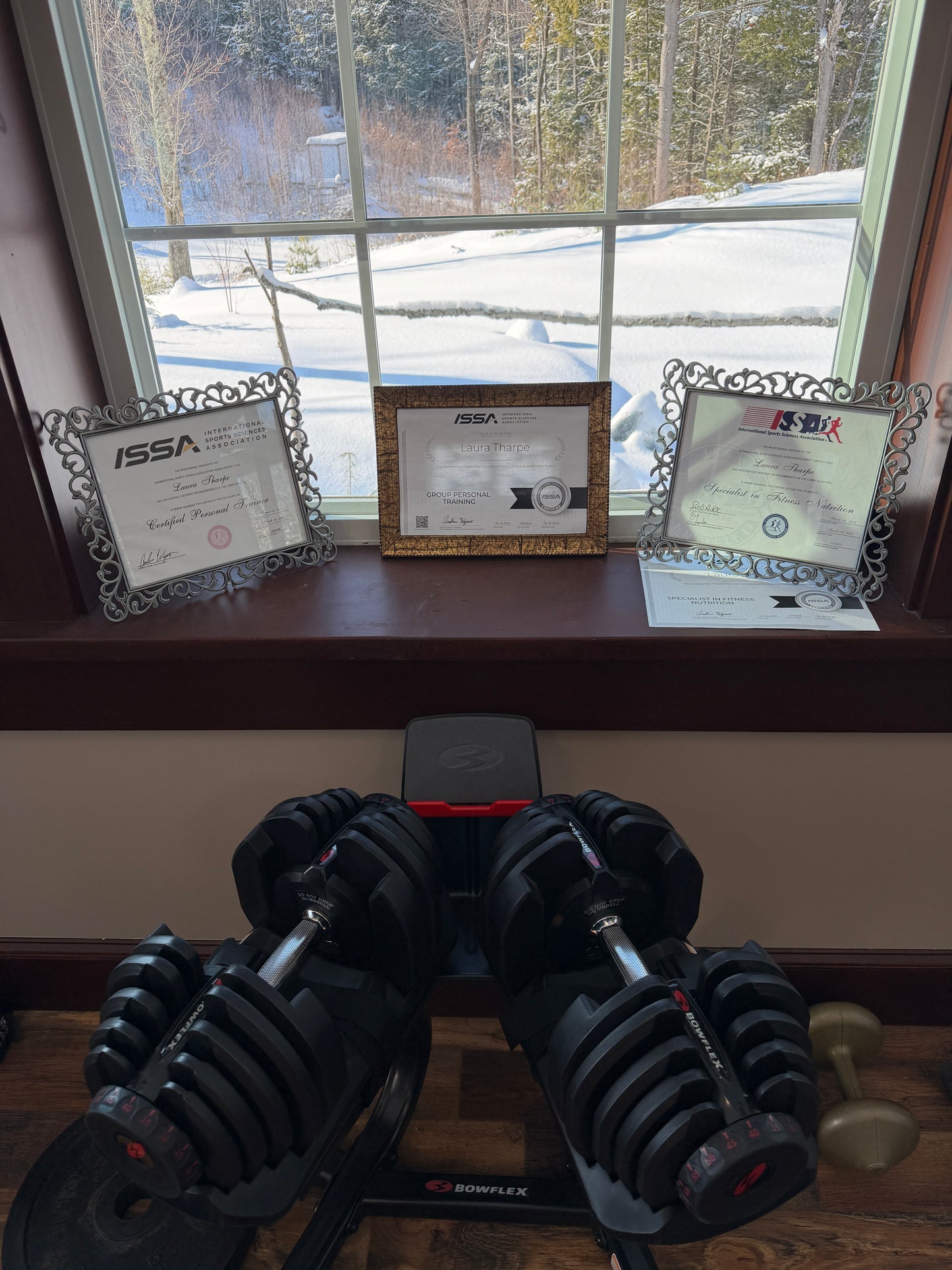 Pair of dumbbells on a stand next to a window with framed certificates on the wall. Laura Tharpe Fitness