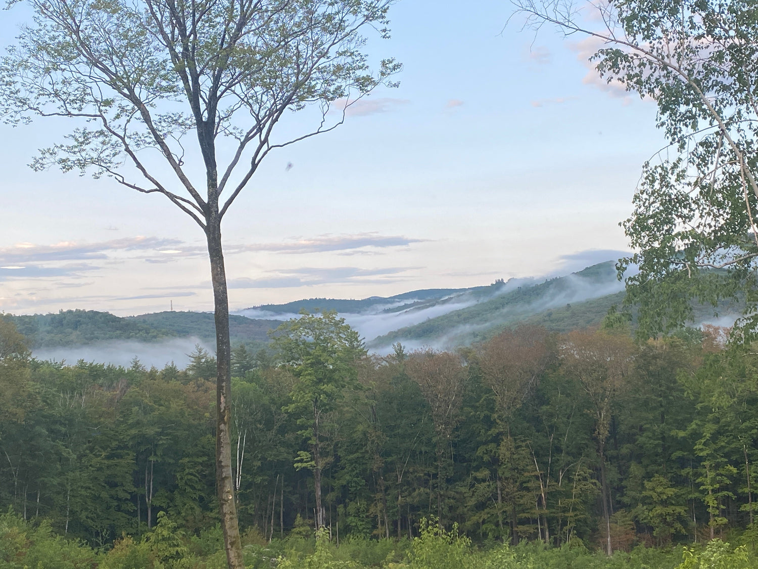 Ever changing landscape