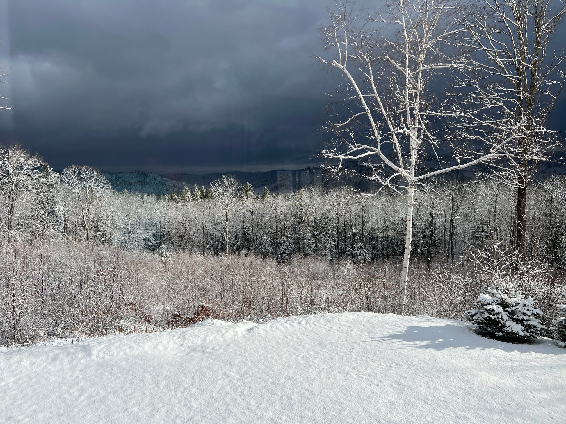 Snowy landscape with trees and dark stormy sky