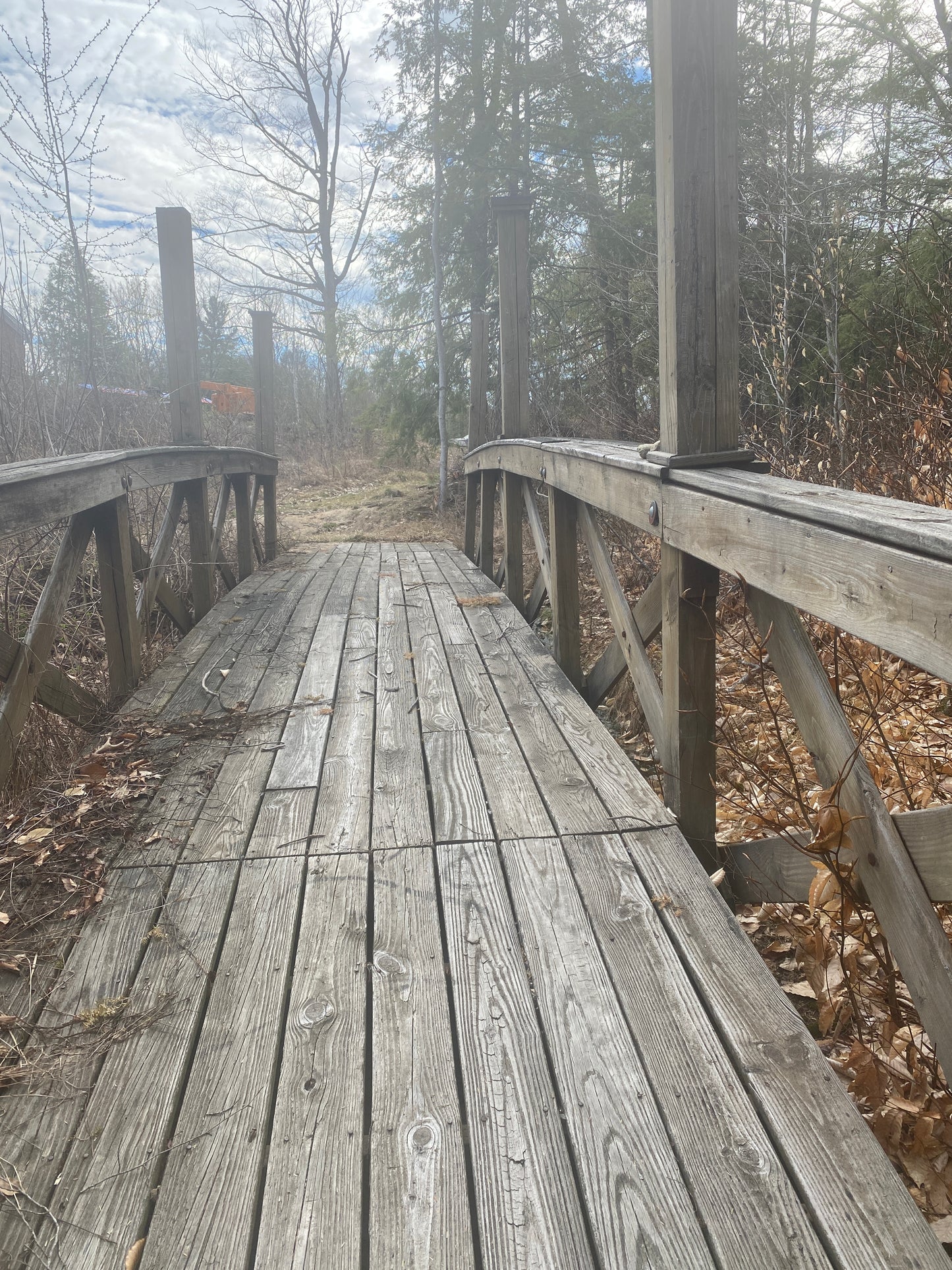 Wooden boardwalk path through a forest with trees and fog in the background.