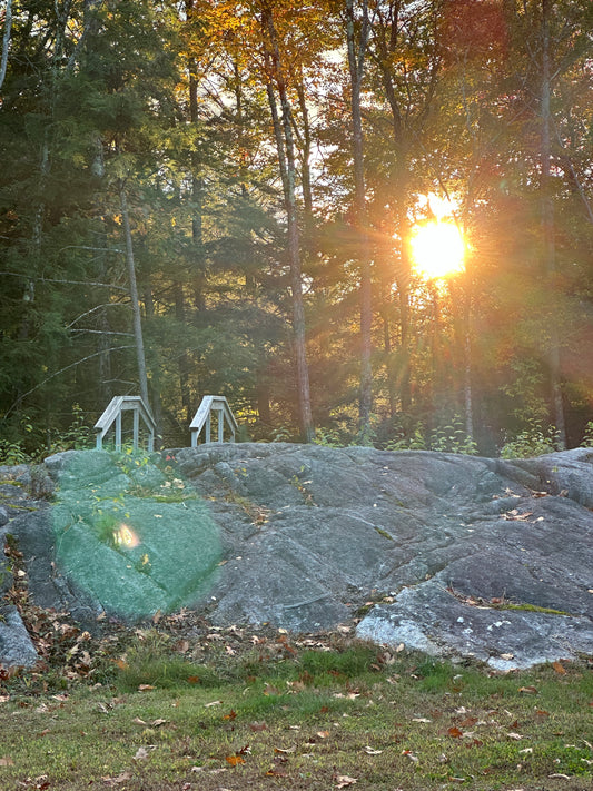 Sunset or sunrise through trees with a bridge  stone  and grass in the foreground