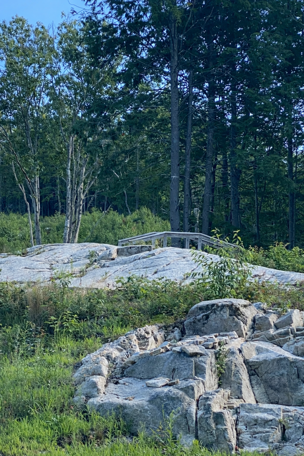 Rocks and wooden bridge  walkway in a forested area