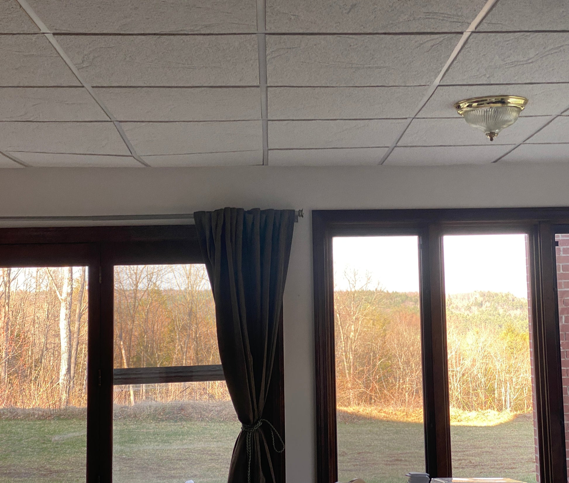 Room with large windows showing a view of trees and a ceiling light fixture.