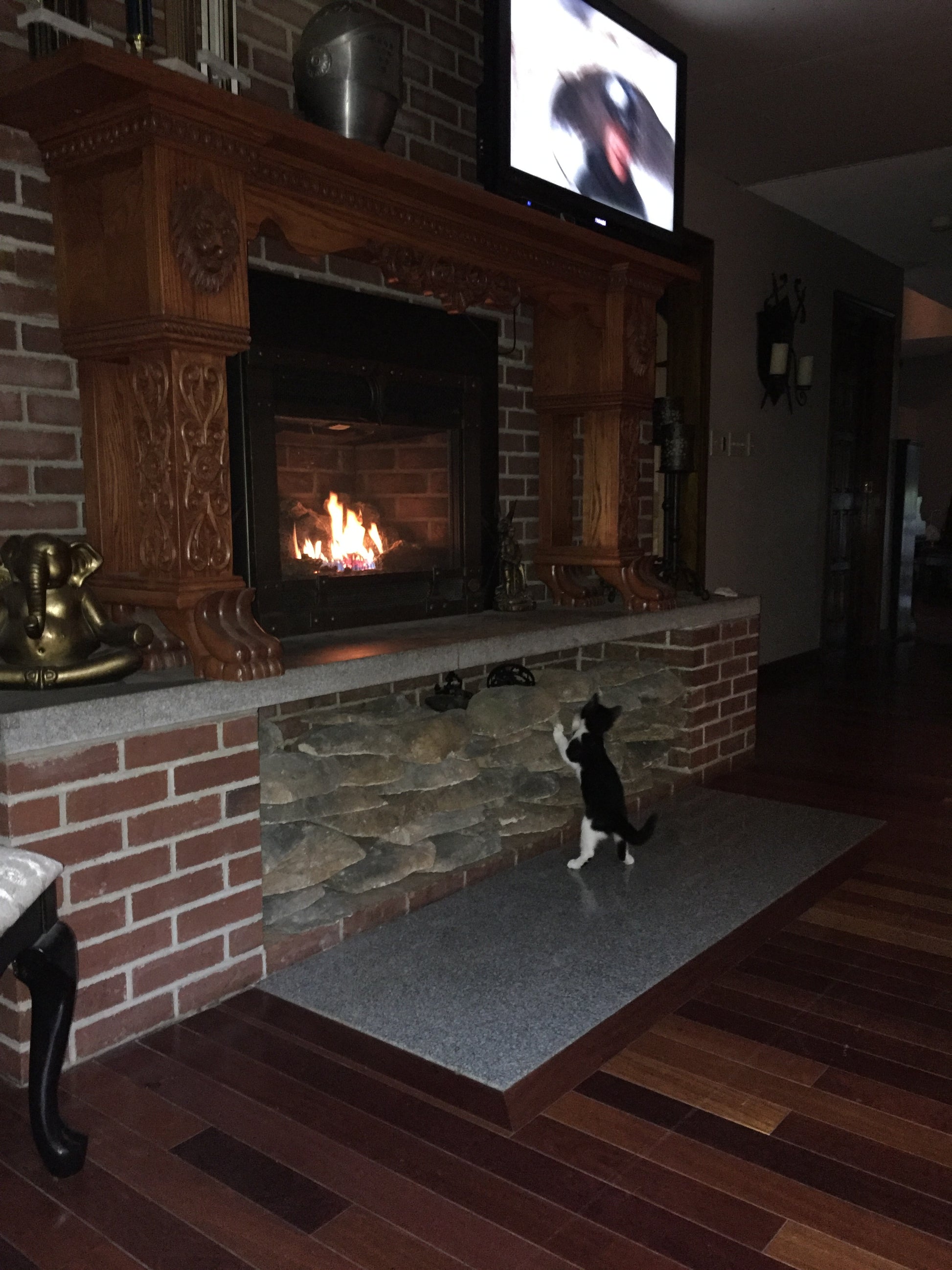 Living room with a fireplace, television, and a cat on a rug.