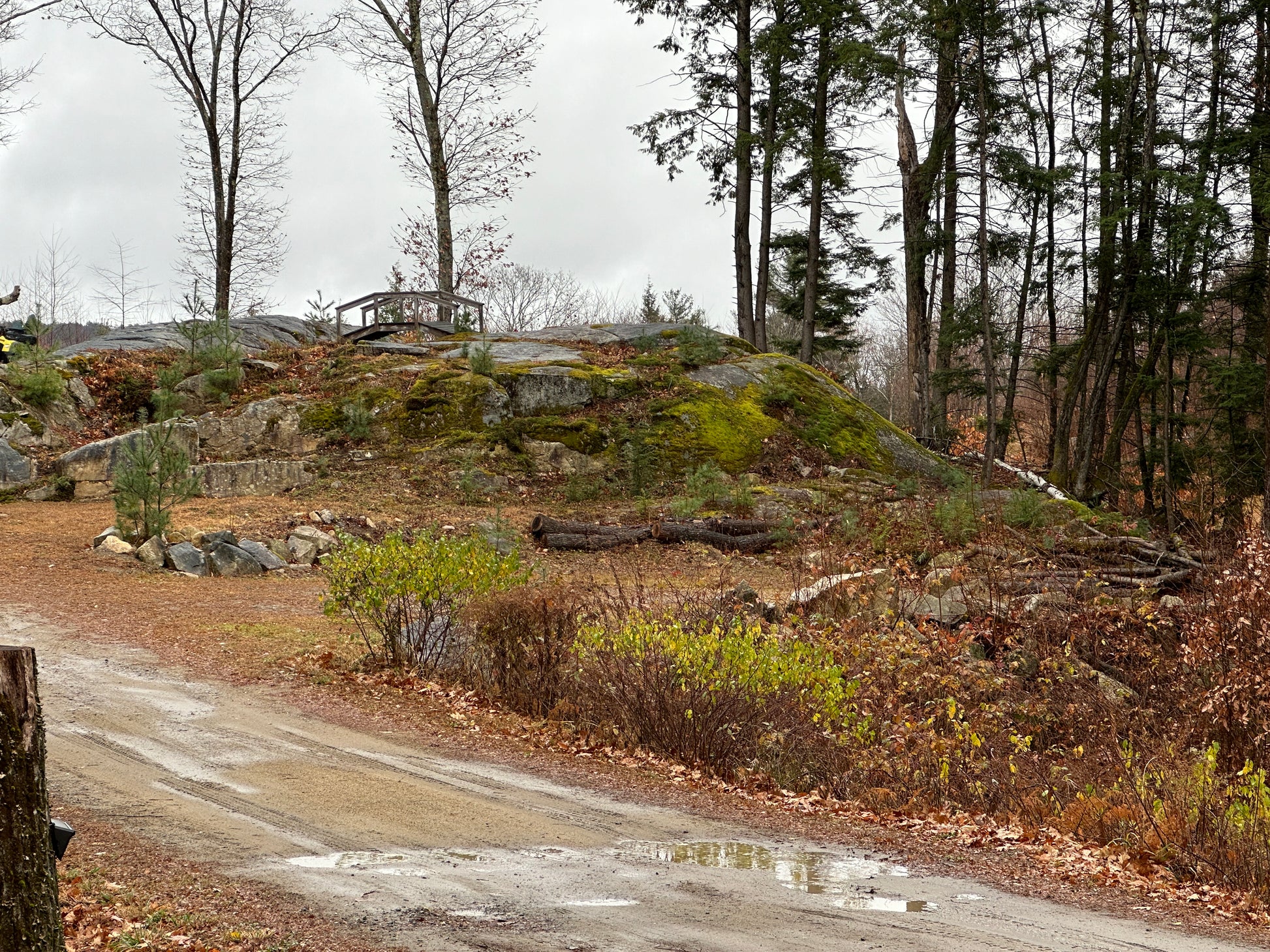 Rural landscape with a dirt road, rocky outcrop, and trees on a cloudy day. Bridge in the distance