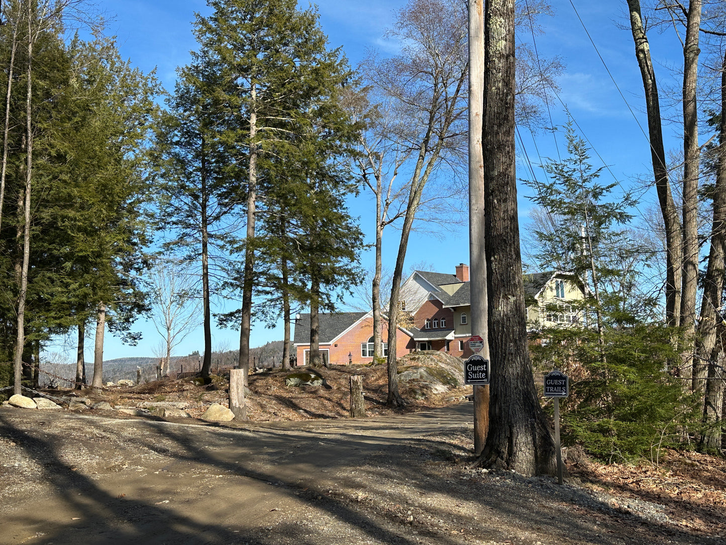 Estate nestled among trees with a clear blue sky