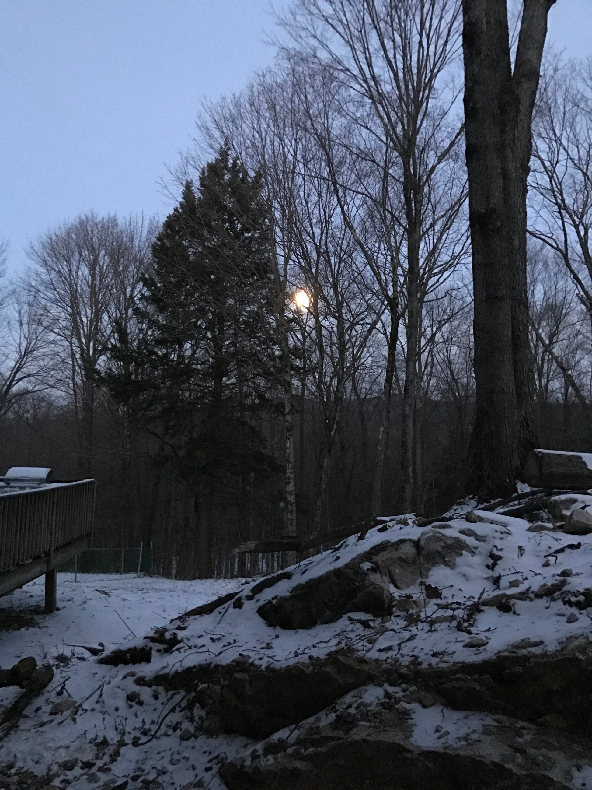 Snowy landscape with trees and a wooden staircase leading up to a building.