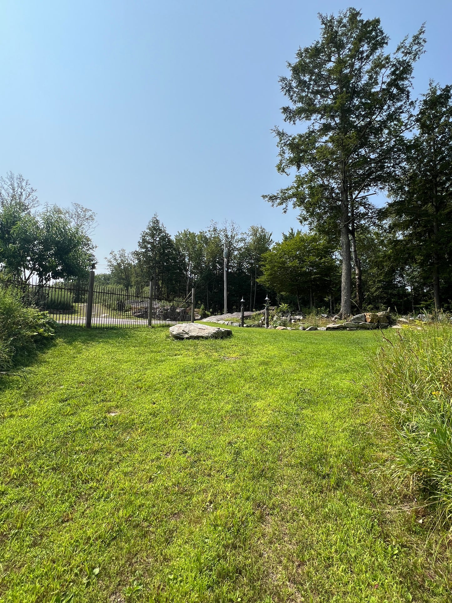 Lawn with trees and a clear blue sky