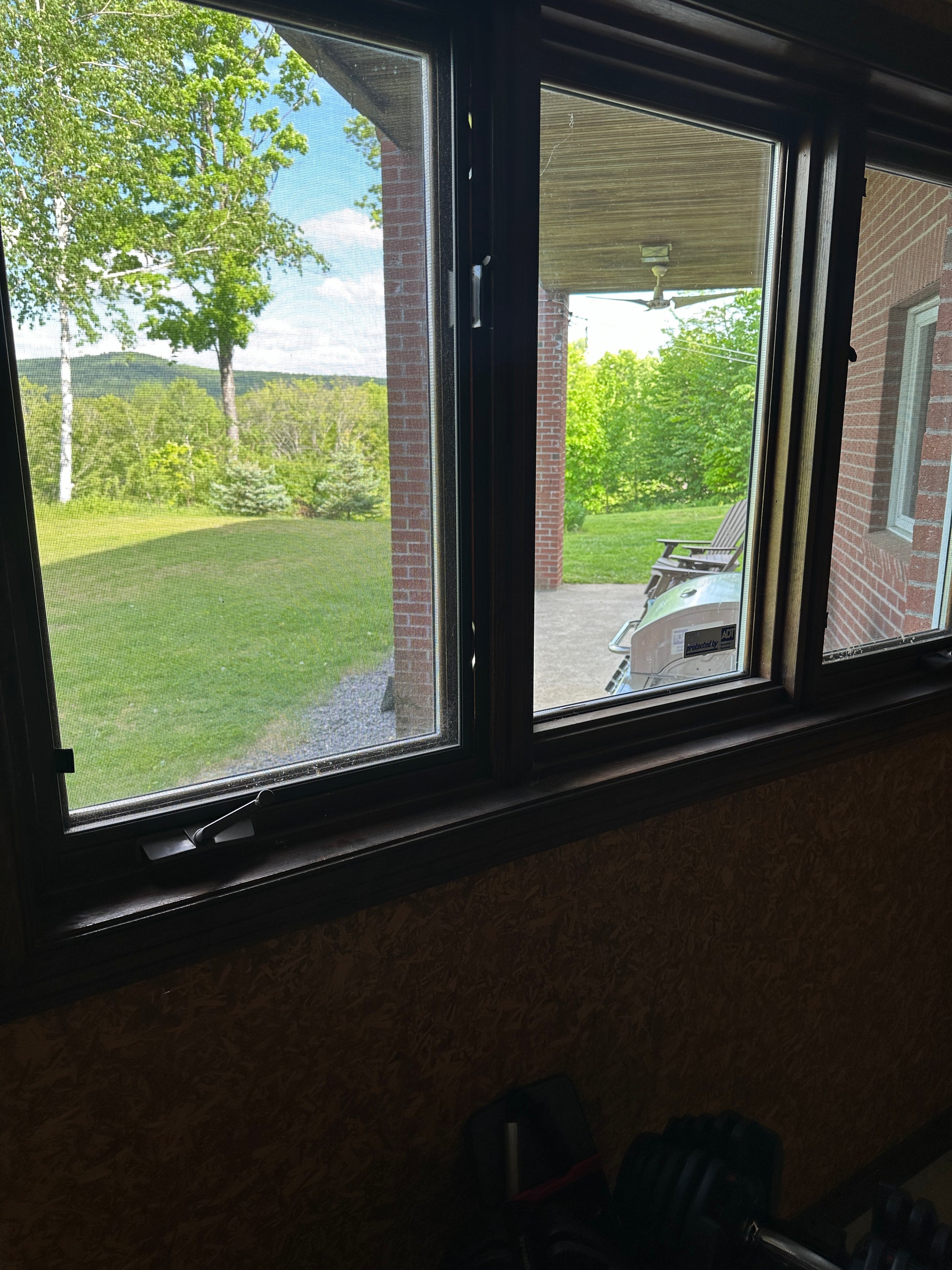 Window view of a grassy area with trees and a building.