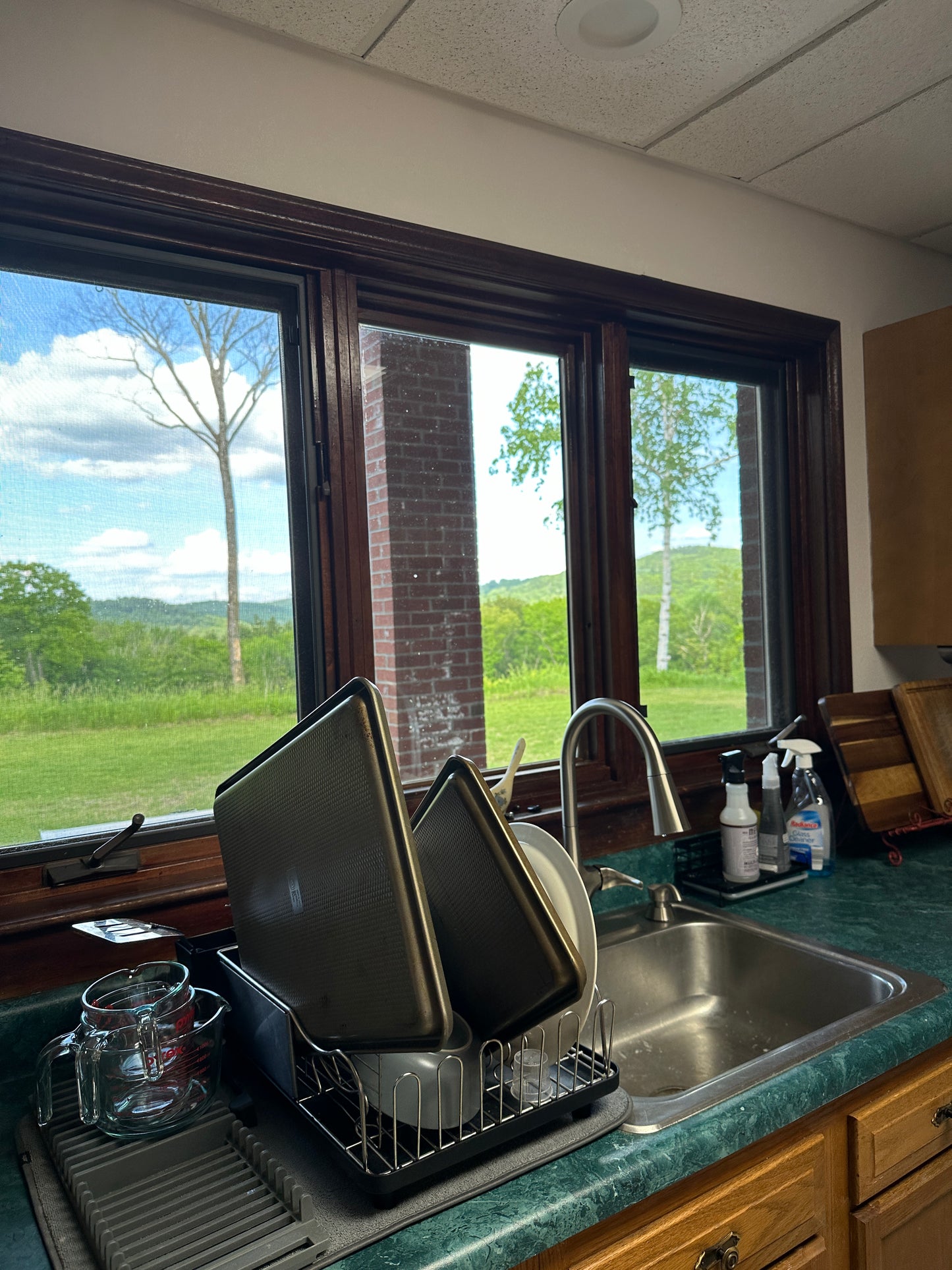 Kitchen with sink and window view of greenery