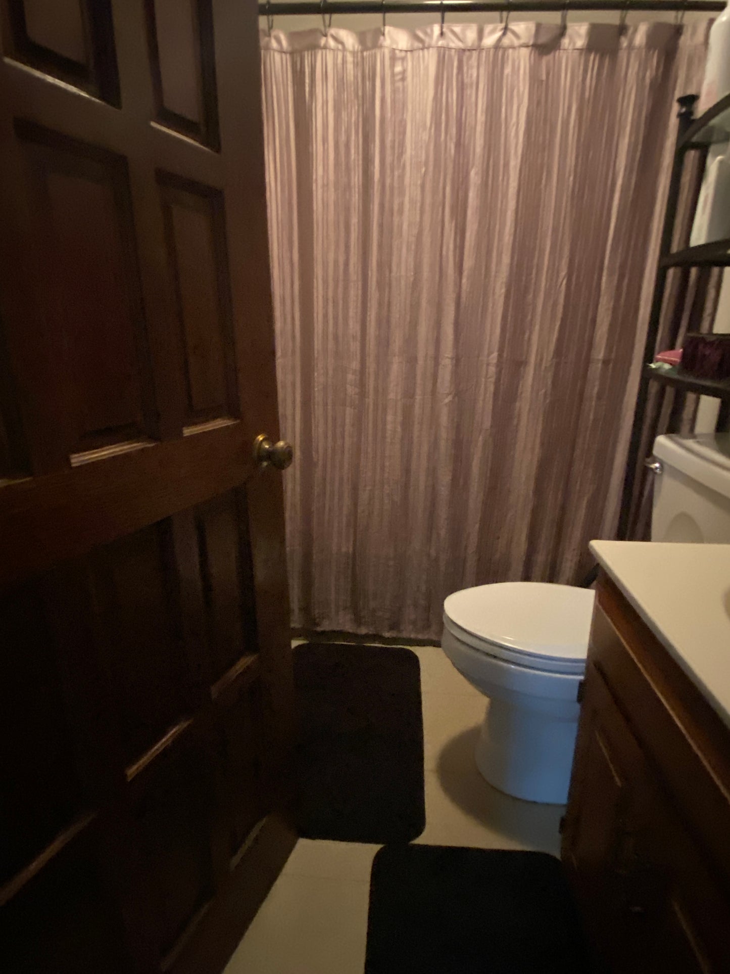 Small bathroom with a toilet and shower curtain.