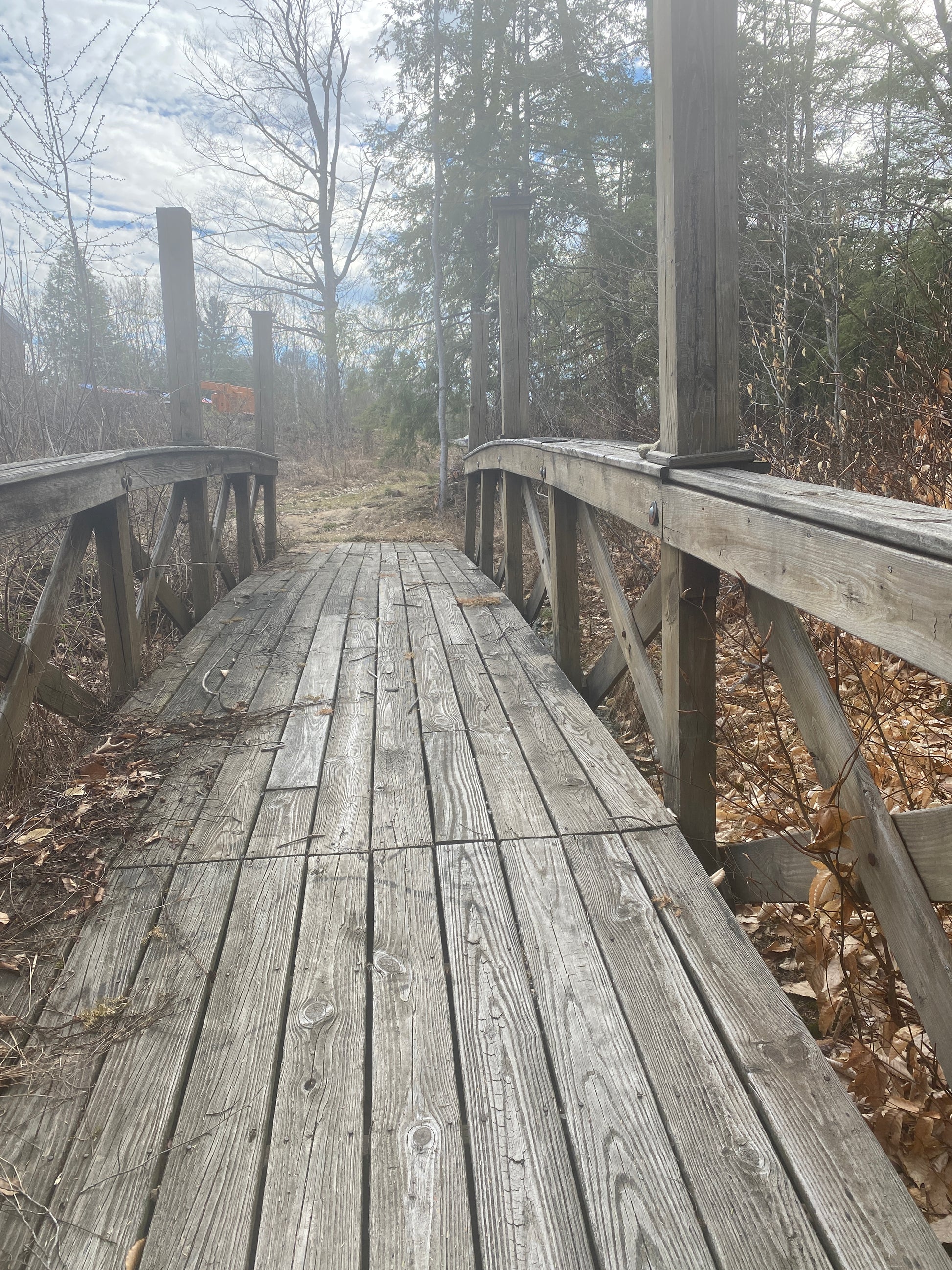 Wooden boardwalk bridge path through a forest with trees and fog in the background.