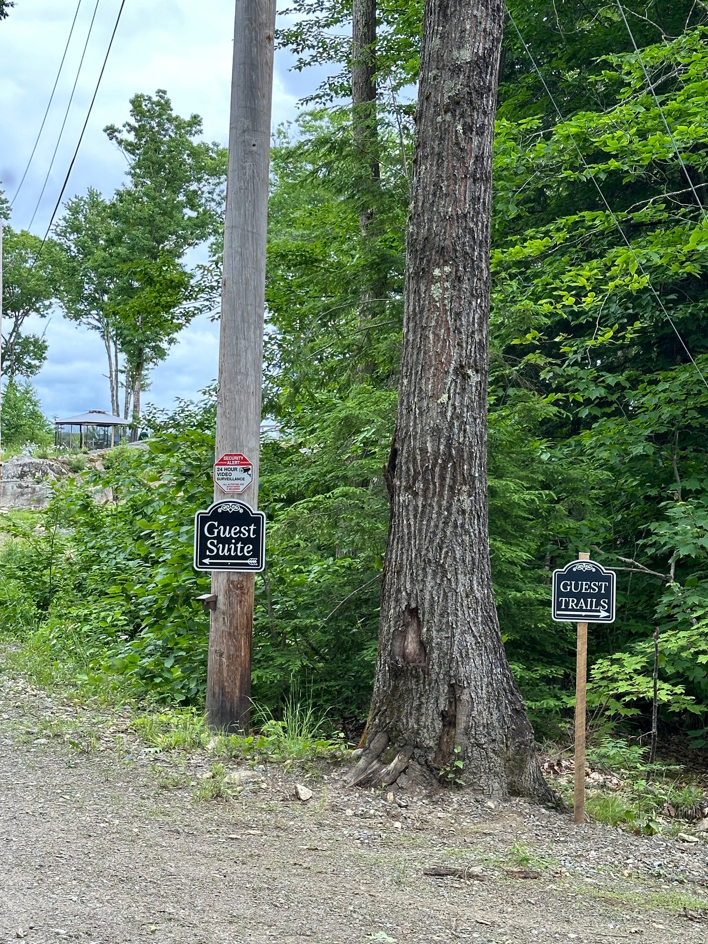 Guest suite and Guest trails sign attached to trees in a wooded area.