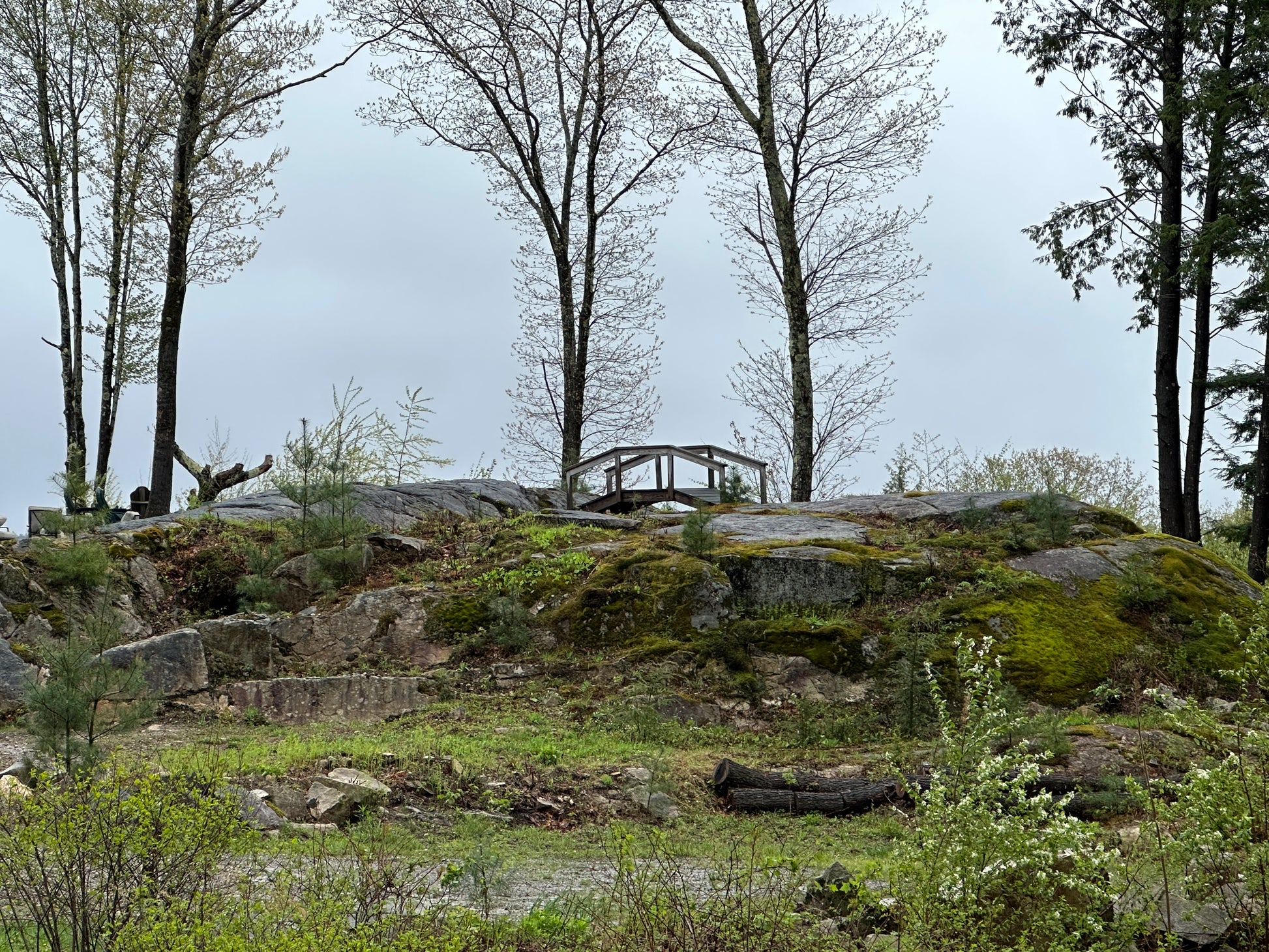 Rocky outcrop with a wooden bridgeand trees in the background
