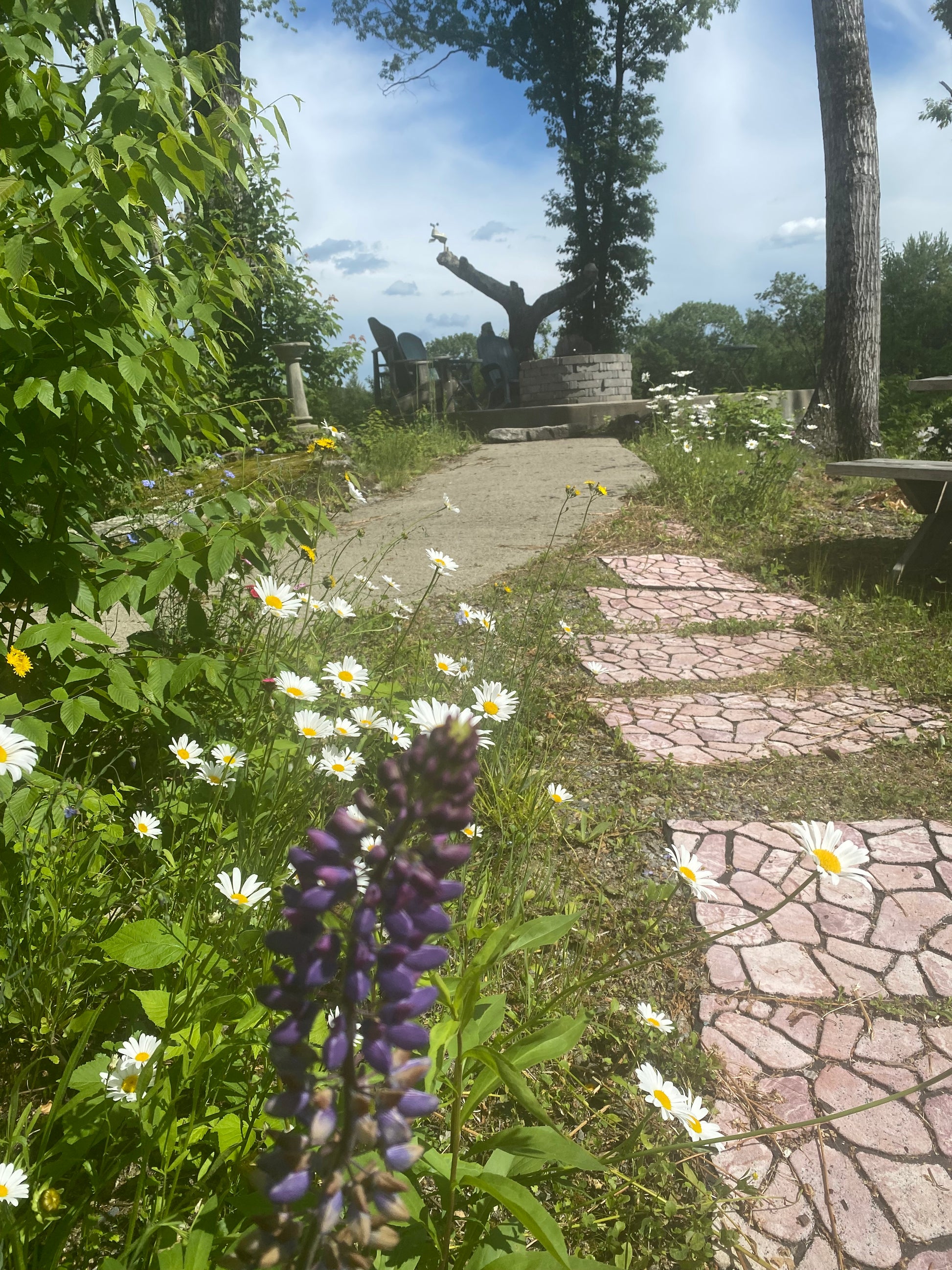 Walking up to firepit scene with flowers, a stone path, and trees on a sunny day.