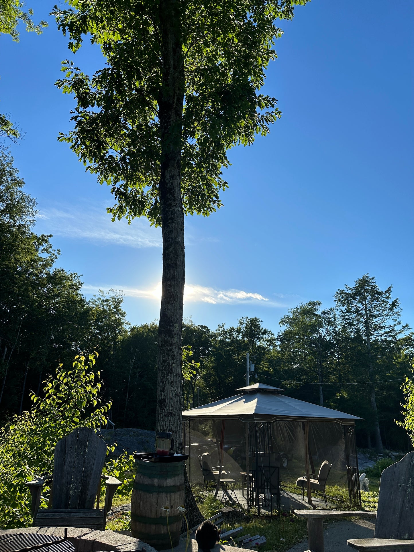 Patios of the Nature View Estate in NH