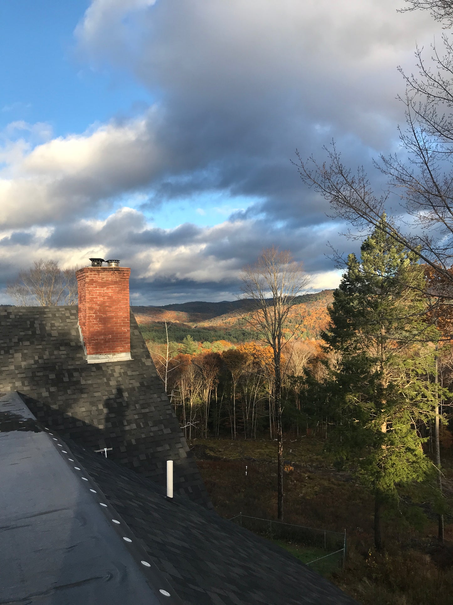 Tall roof top deck against a backdrop of trees and blue sky.