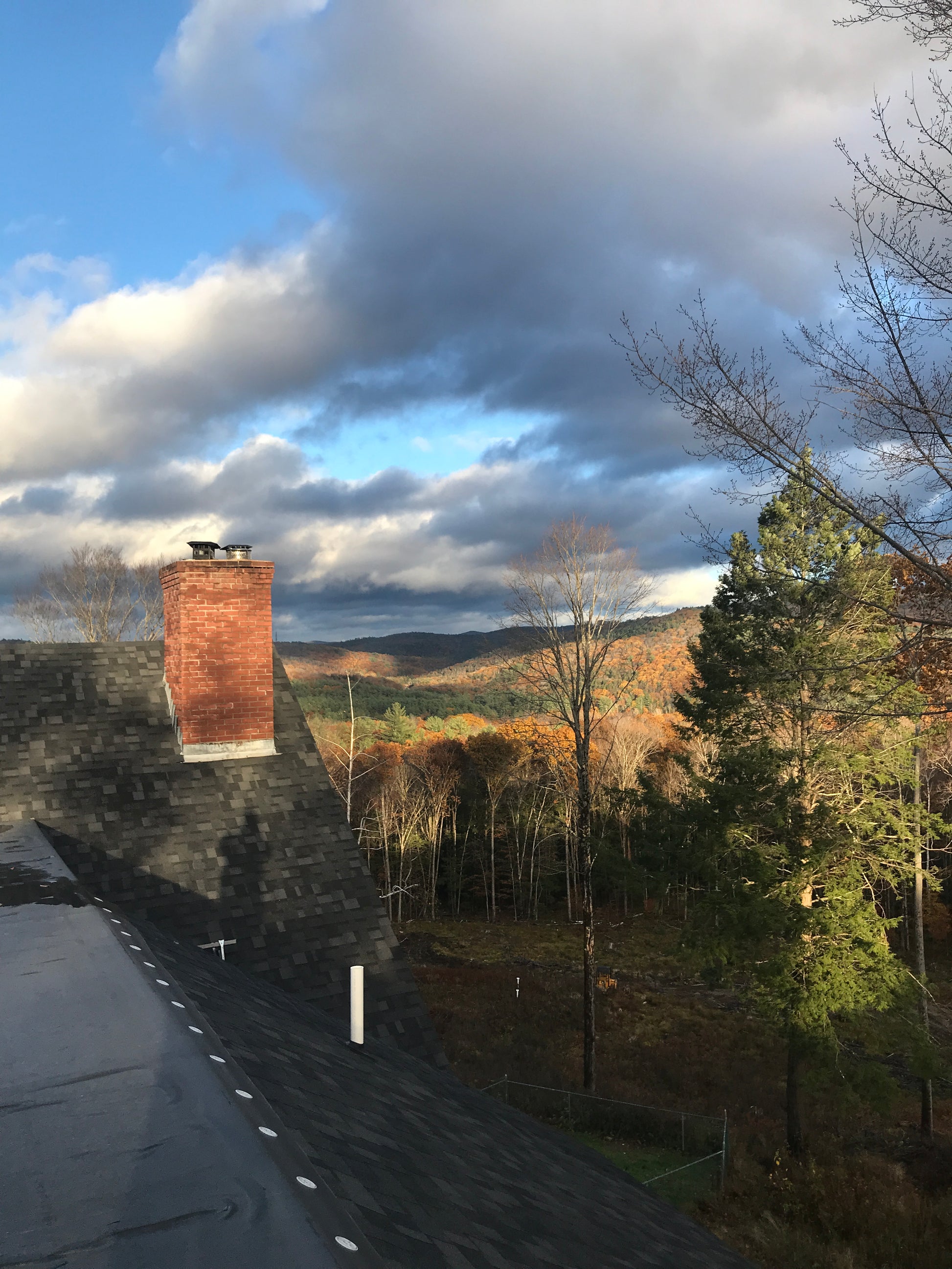 Tall roof top deck against a backdrop of trees and blue sky.