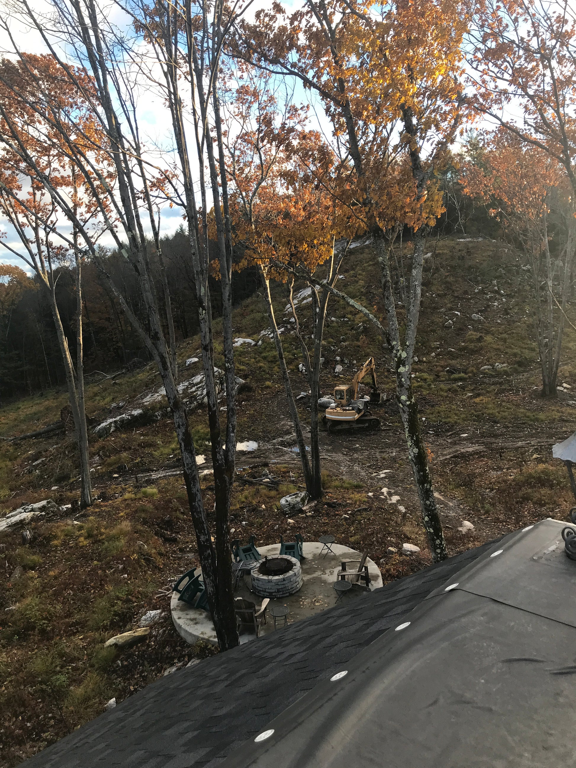 A wooded area with trees and ledges sticking out of the ground