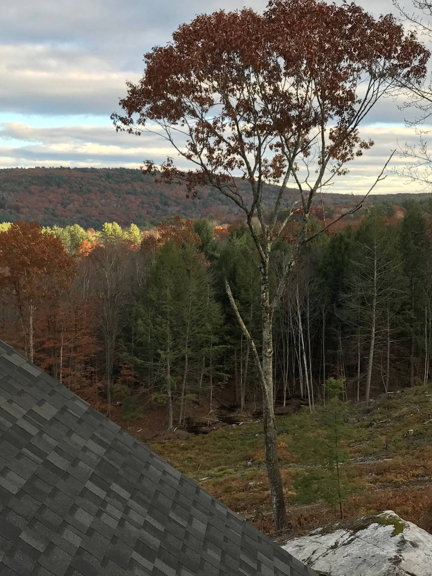 Scenic view with trees, a house, and a cloudy sky.