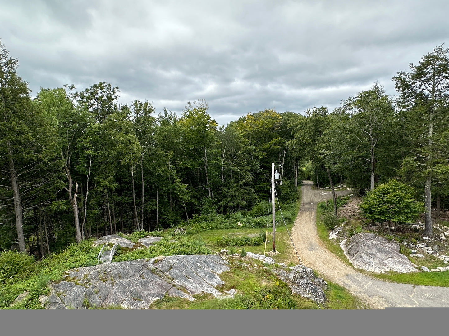 Winding dirt path through a forest with trees and rocks on a cloudy day