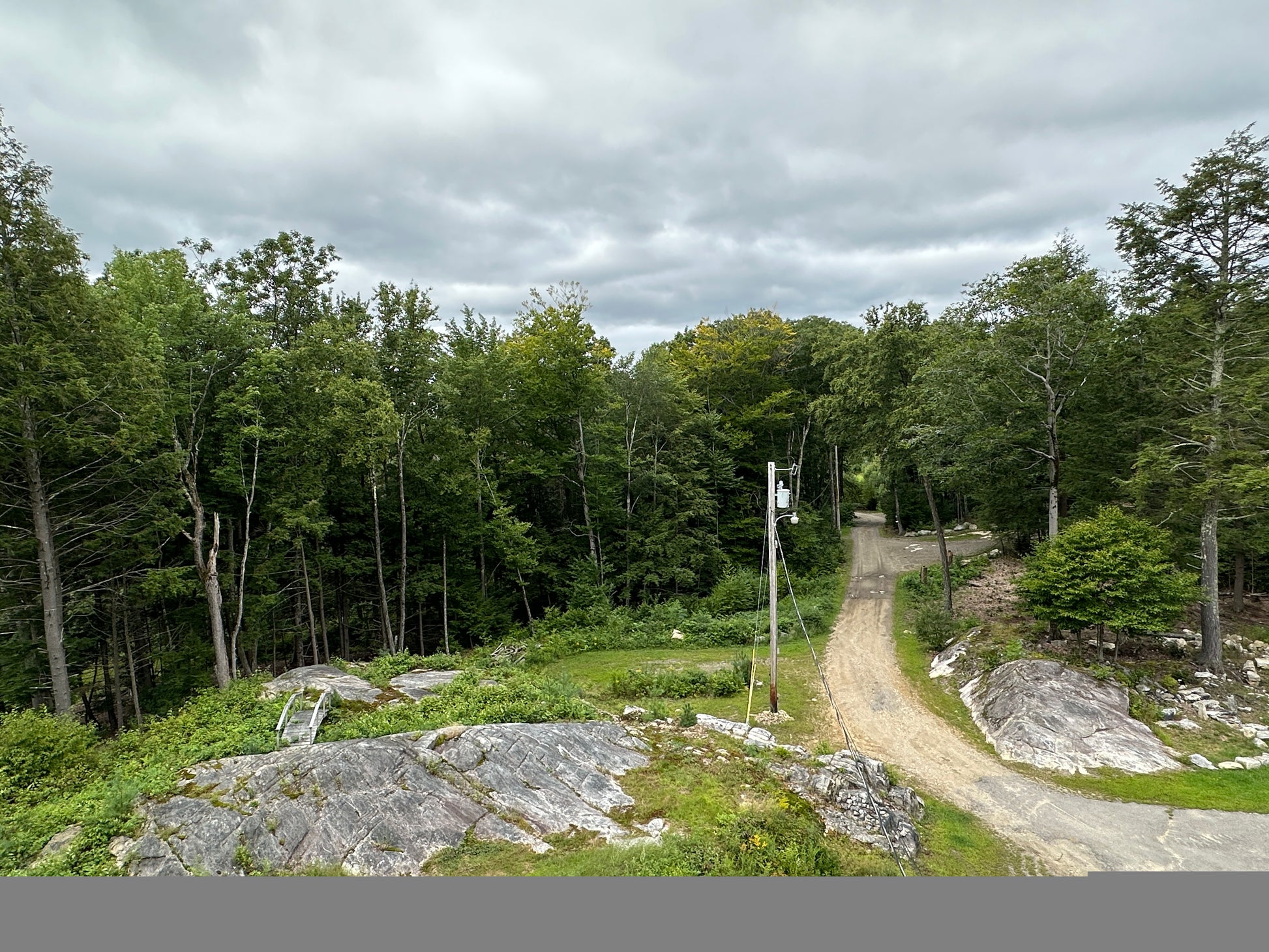 Winding dirt path through a forest with trees and rocks on a cloudy day