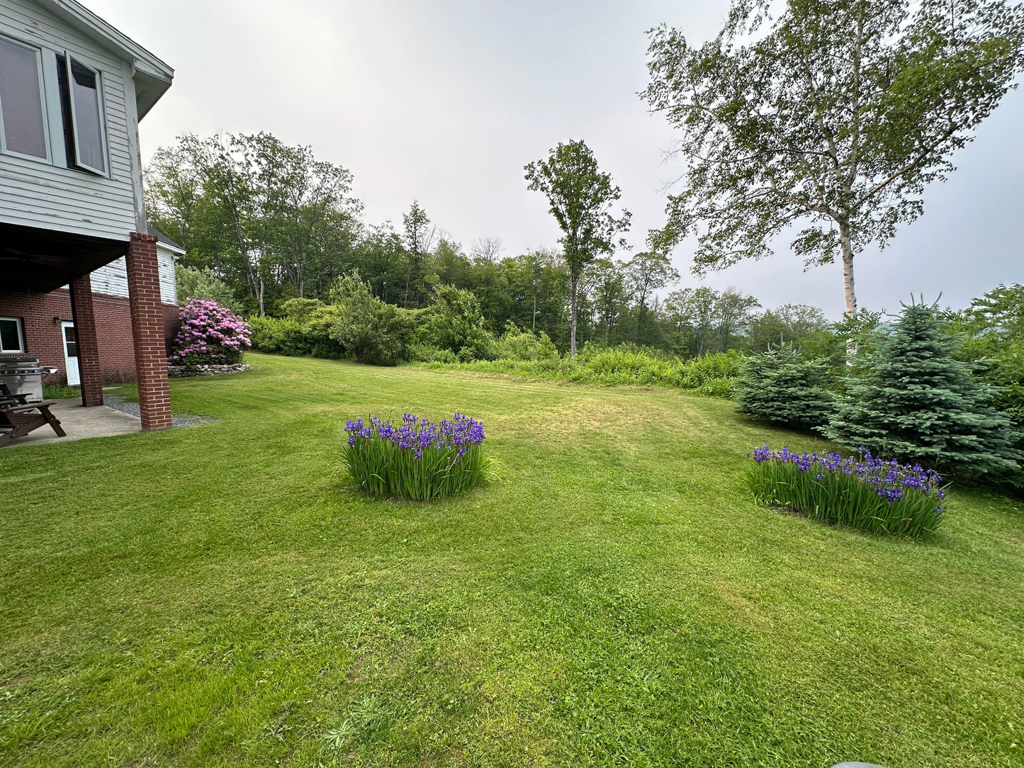 Lawns and Land