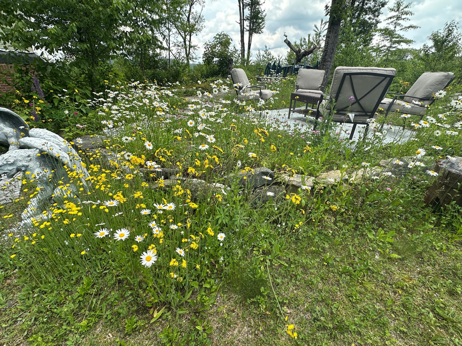 Outdoor setting with chairs, flowers, and a cloudy sky