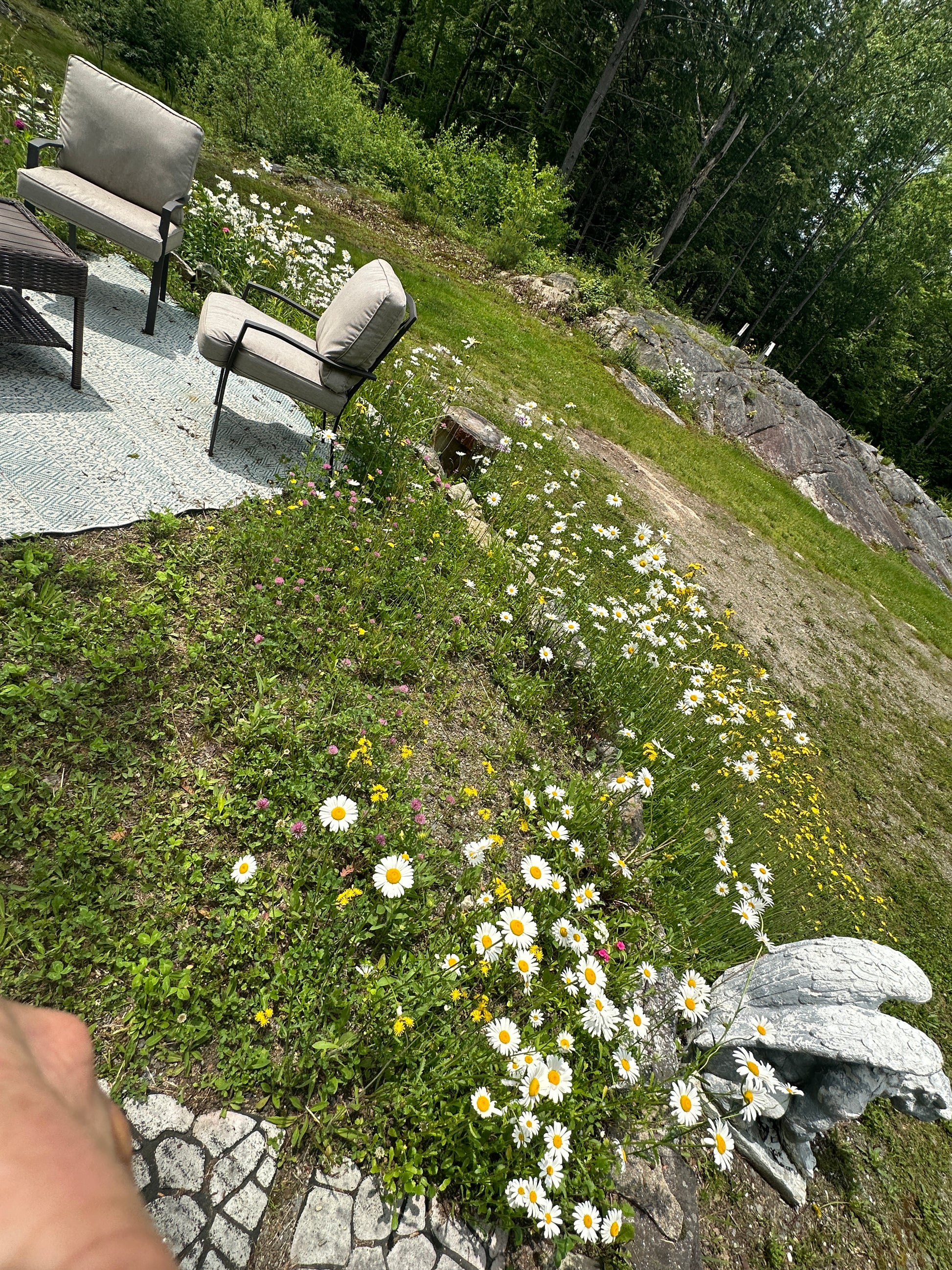 Patio in the middle of a floral garden with white and yellow flowers on a stone path, surrounded by greenery.