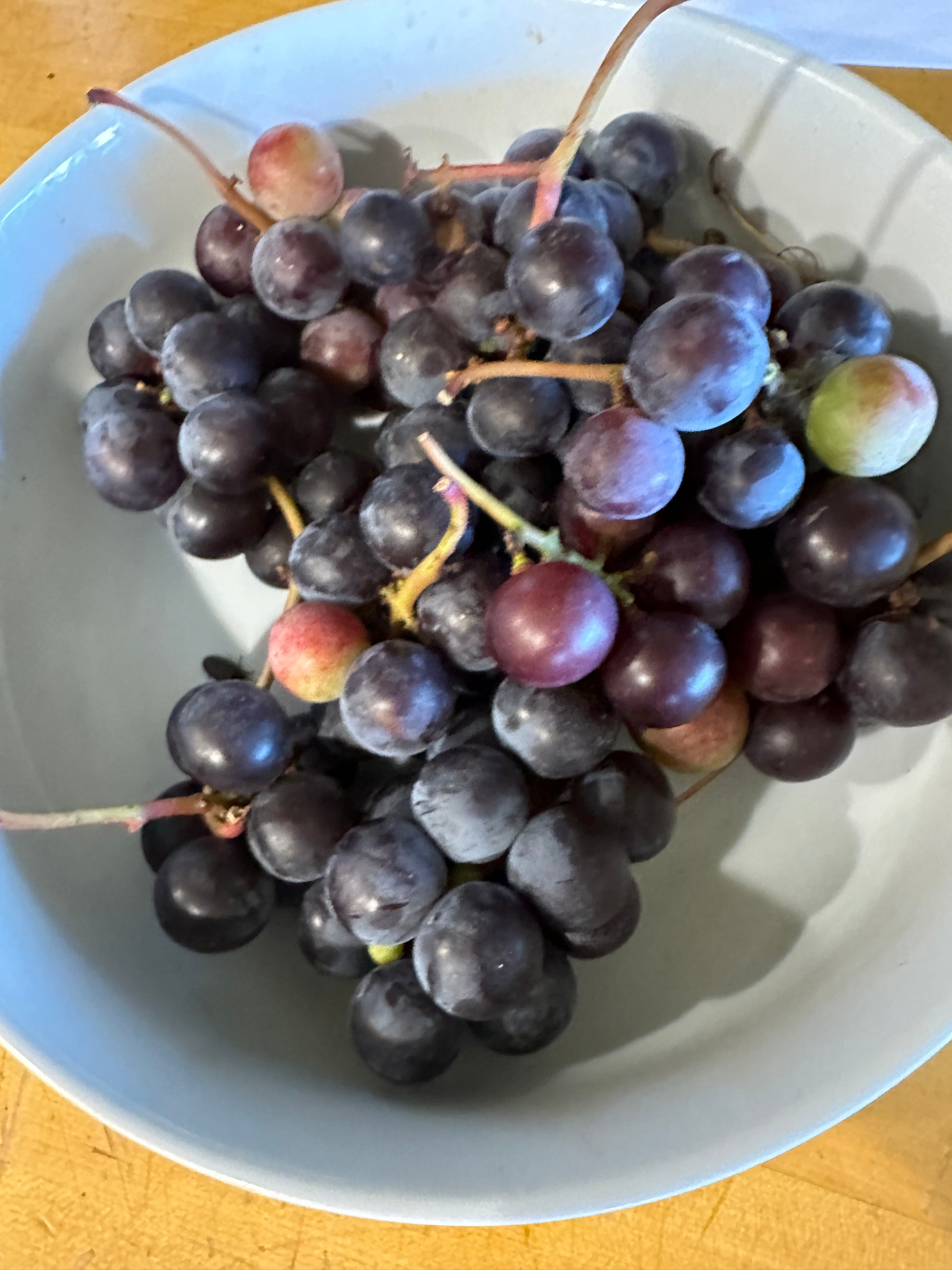 Bowl of purple grapes on a wooden surface