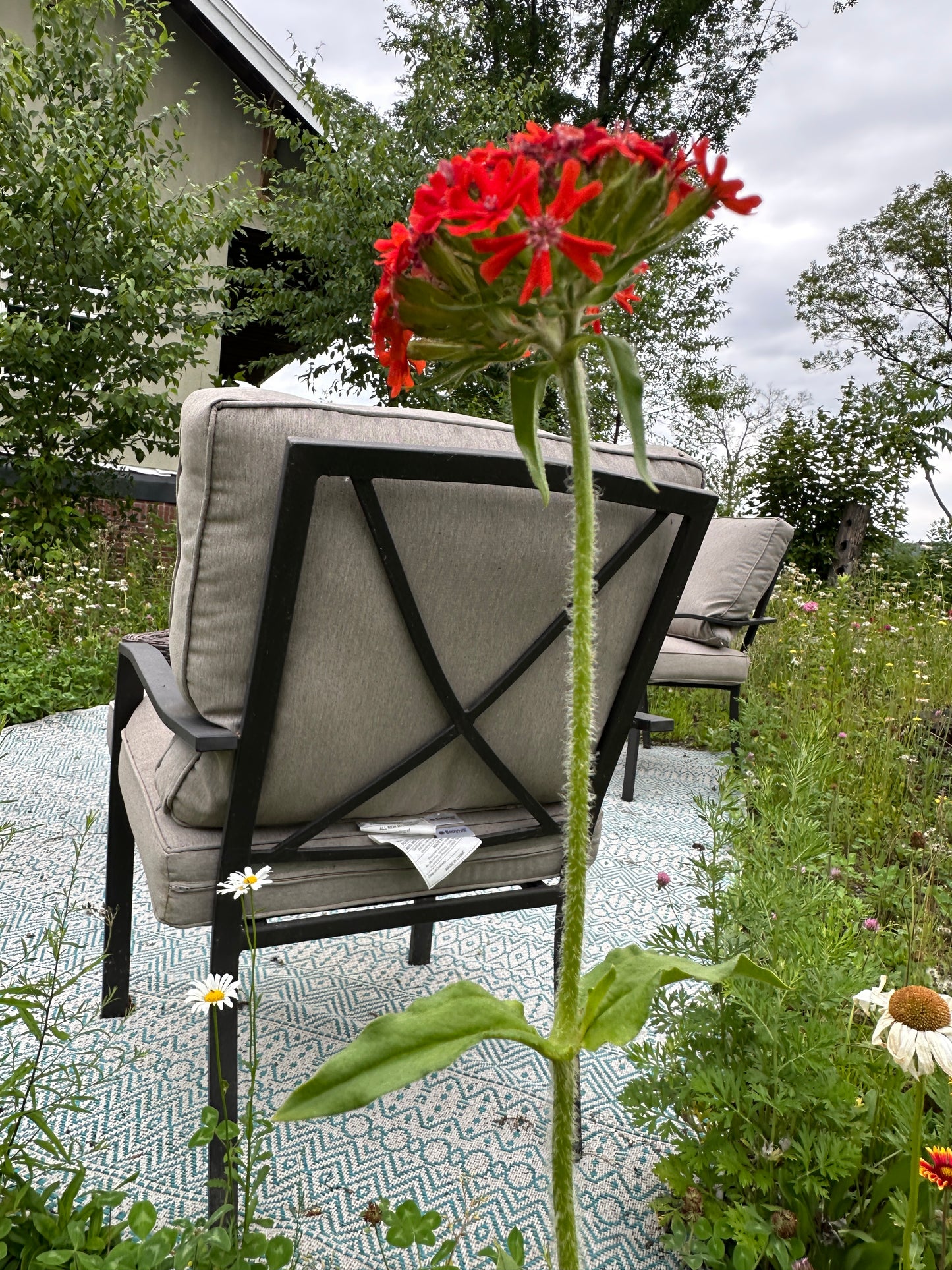 Floral arrangement with red flowers in a garden setting