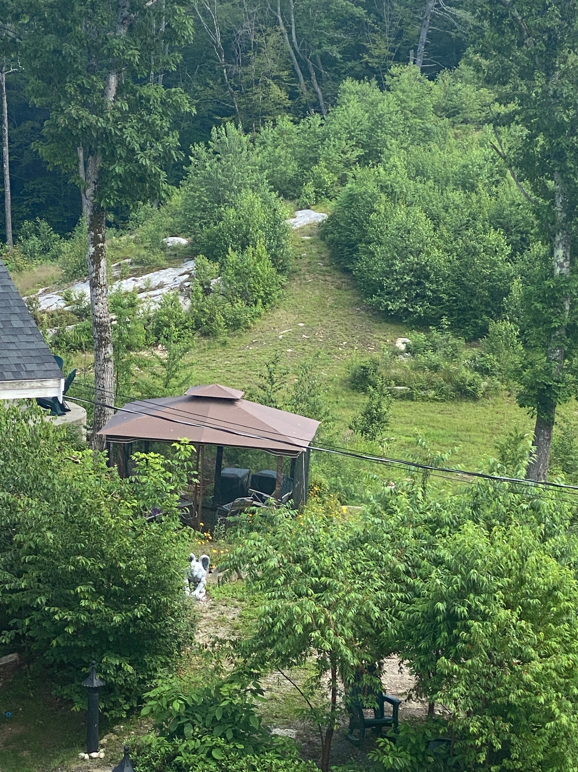 Aerial view of a patio surrounded by trees and grass. Trails in the background