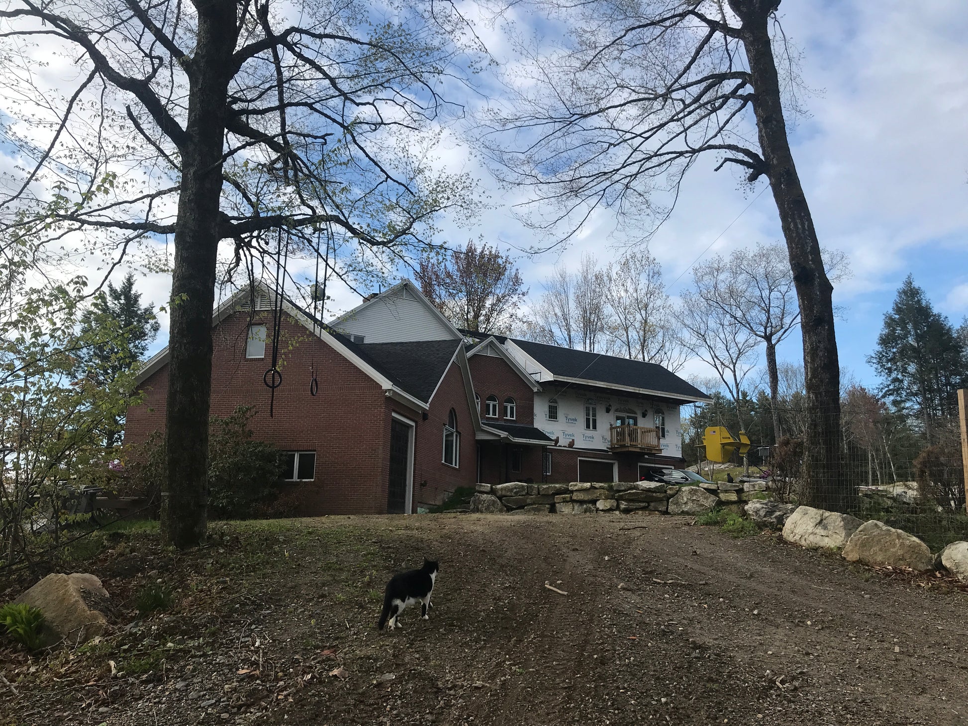 House with a dog on a dirt driveway surrounded by trees and rocks