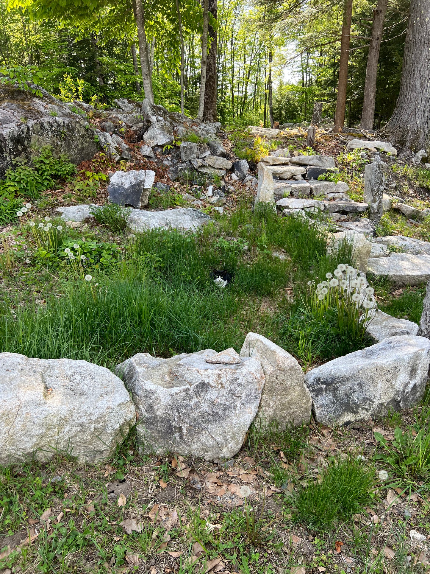 Lawns and Land