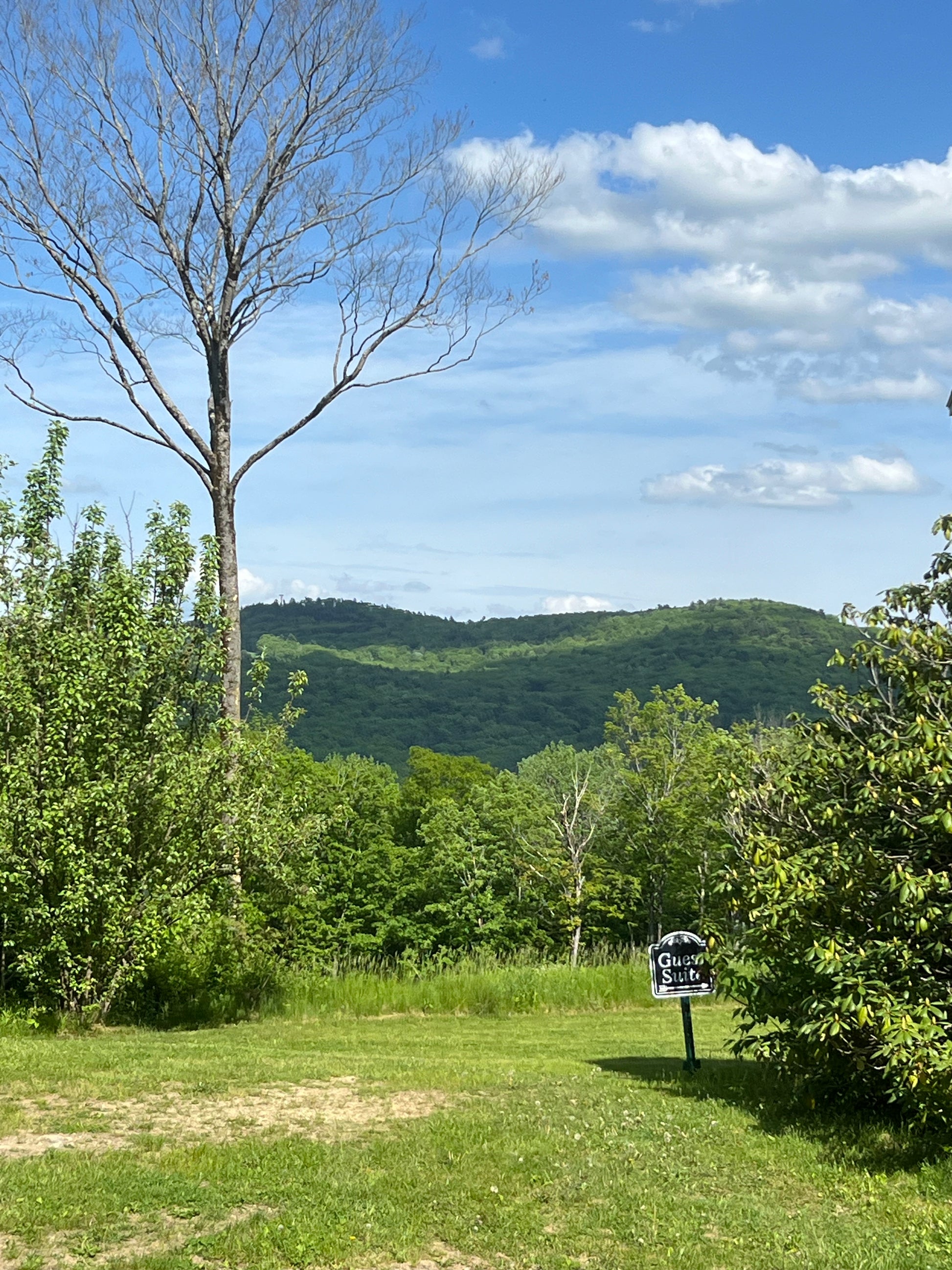 Scenic view of green hills and trees with a clear blue sky.