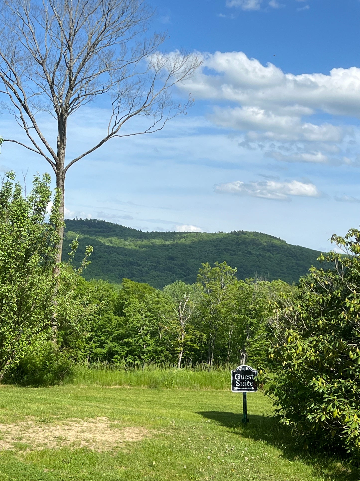 Lawns and Land