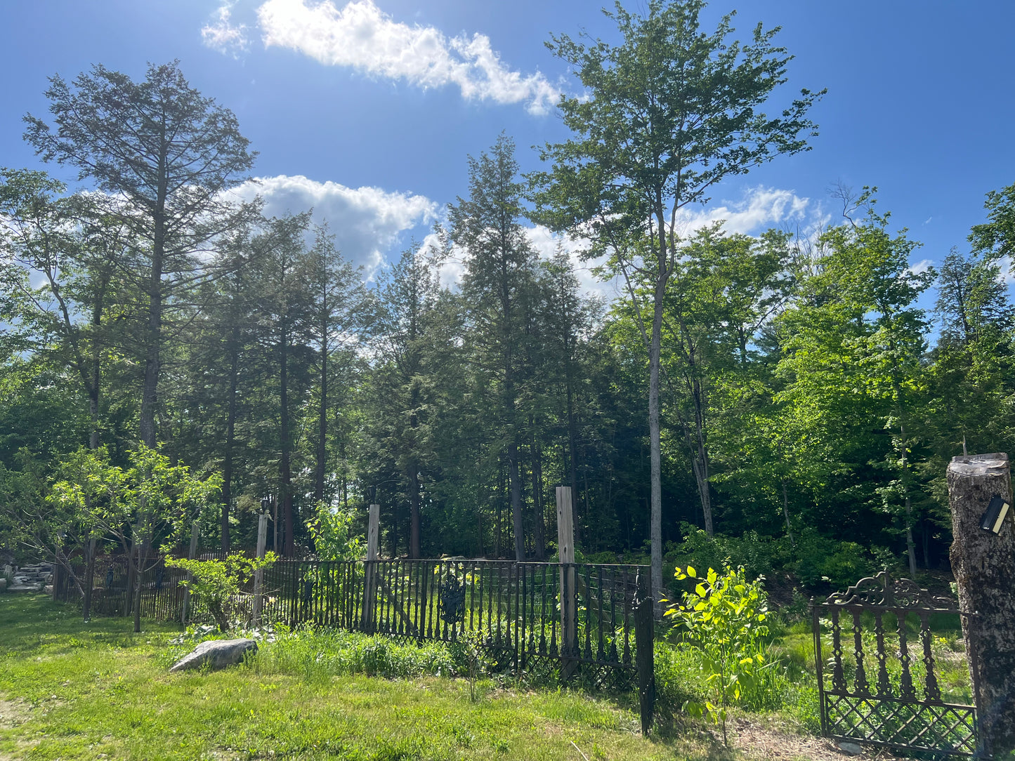 Lawns and Land