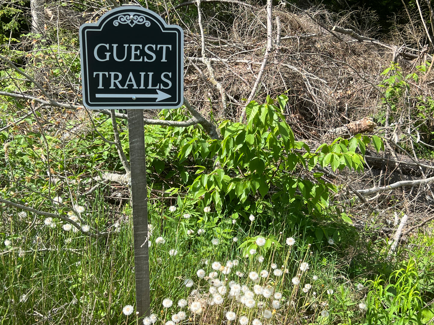 Ledges and Outcropping's at the Nature View Estate