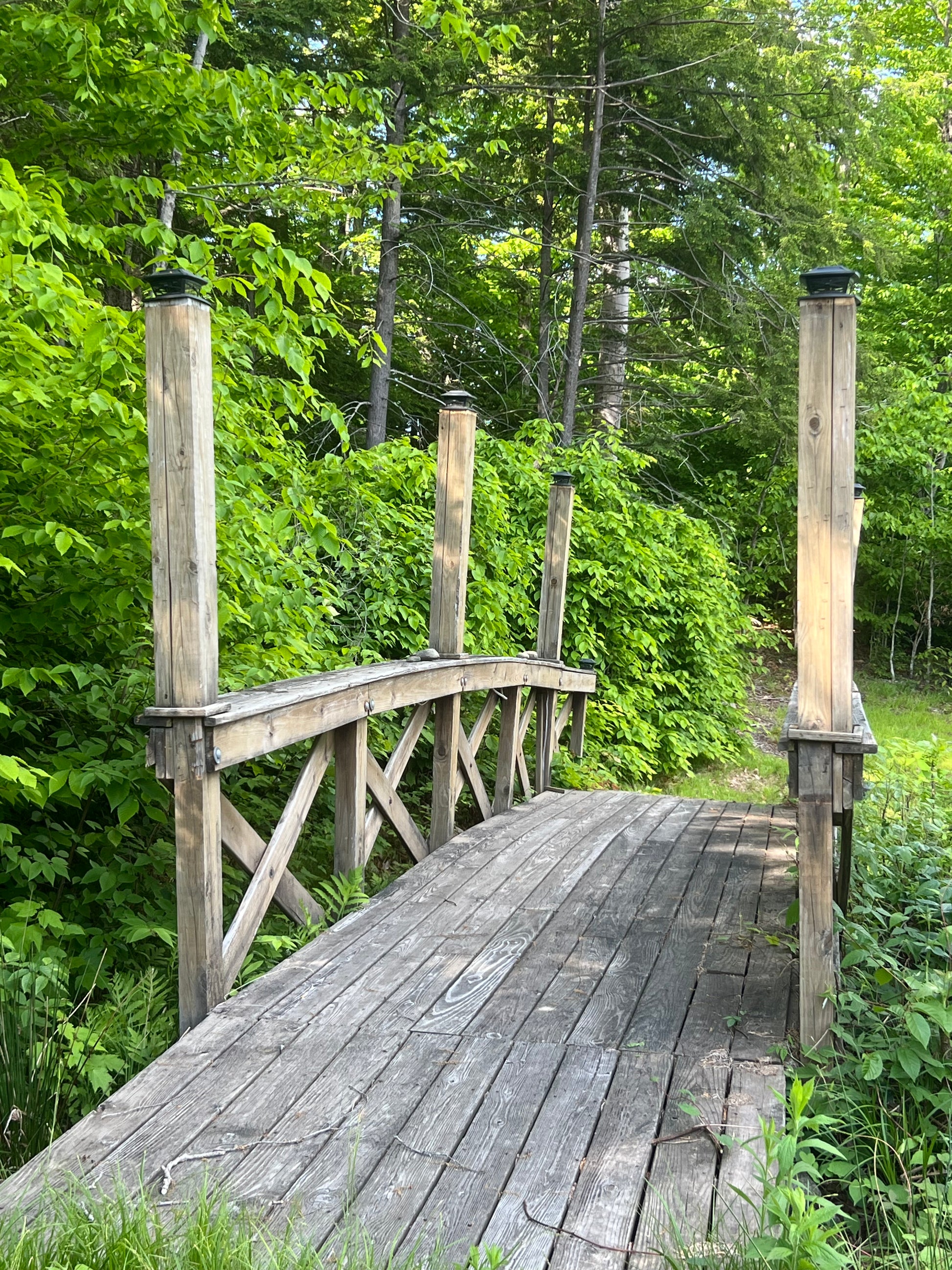 Wooden dock extending into a body of water with greenery in the background