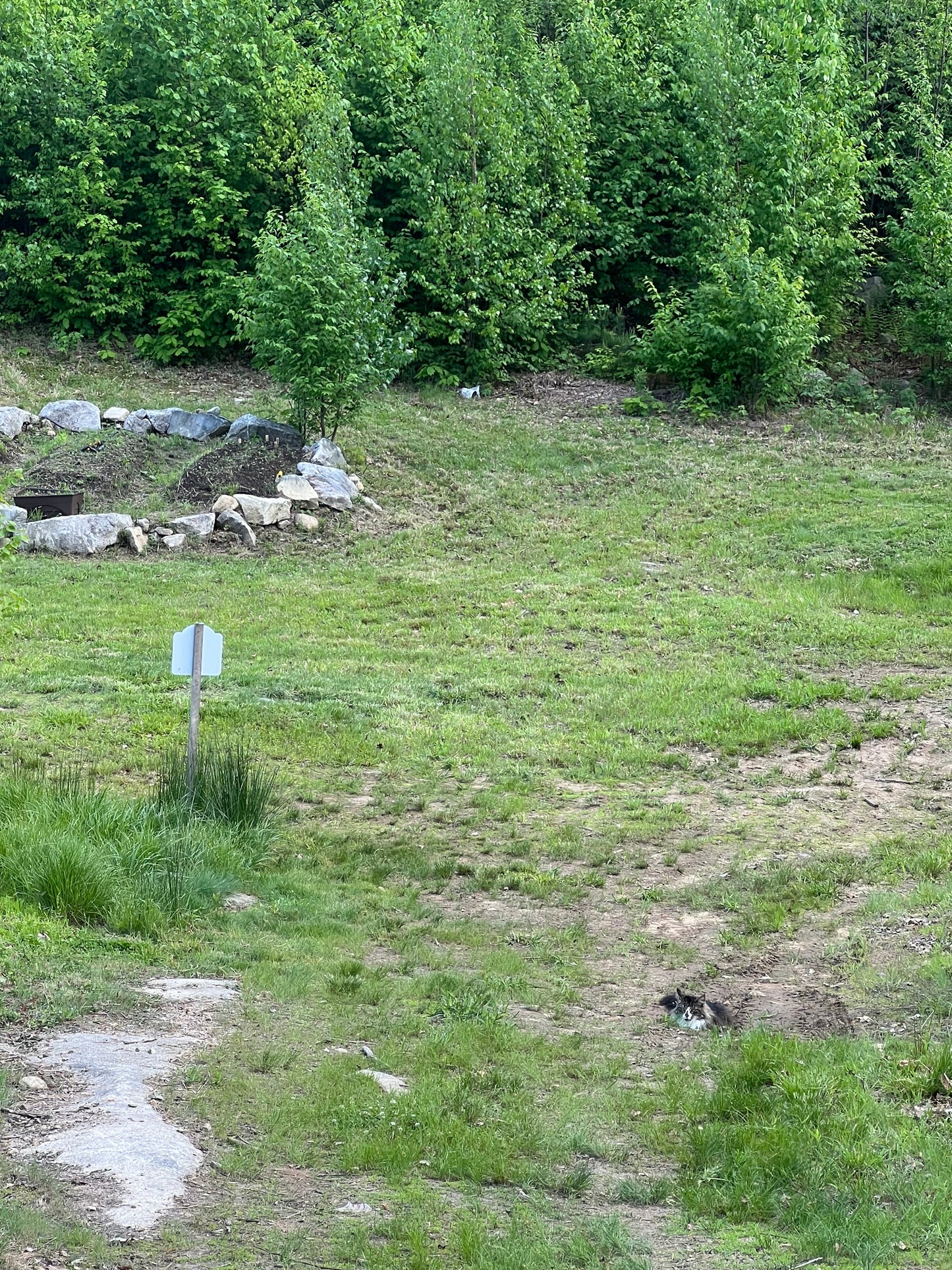 Lawns and Land