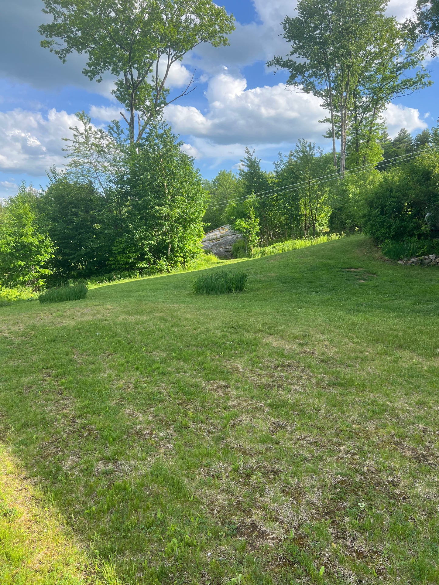 Lawns and Land