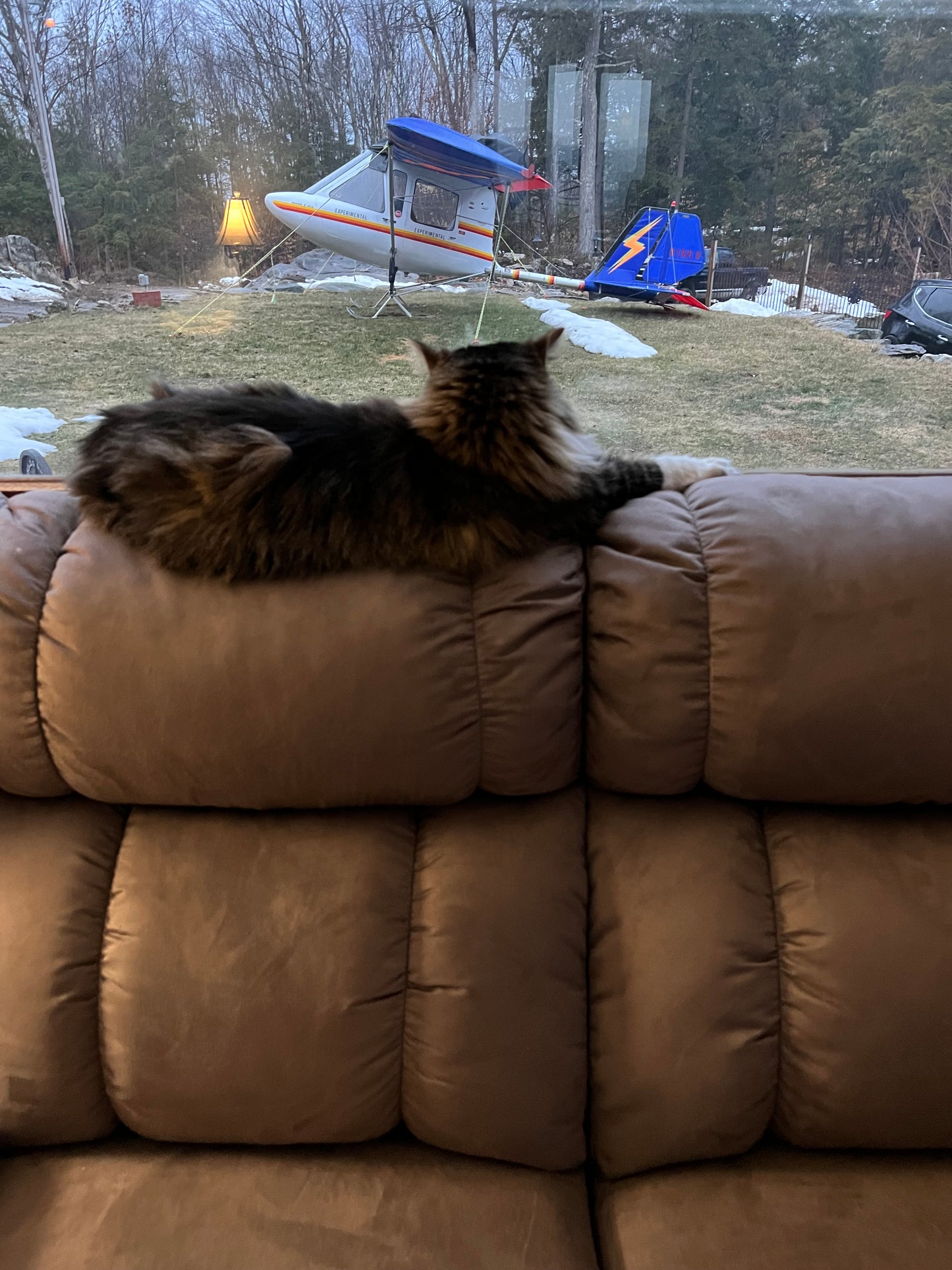 Cat sitting on a brown sofa with a snowy outdoor scene in the background