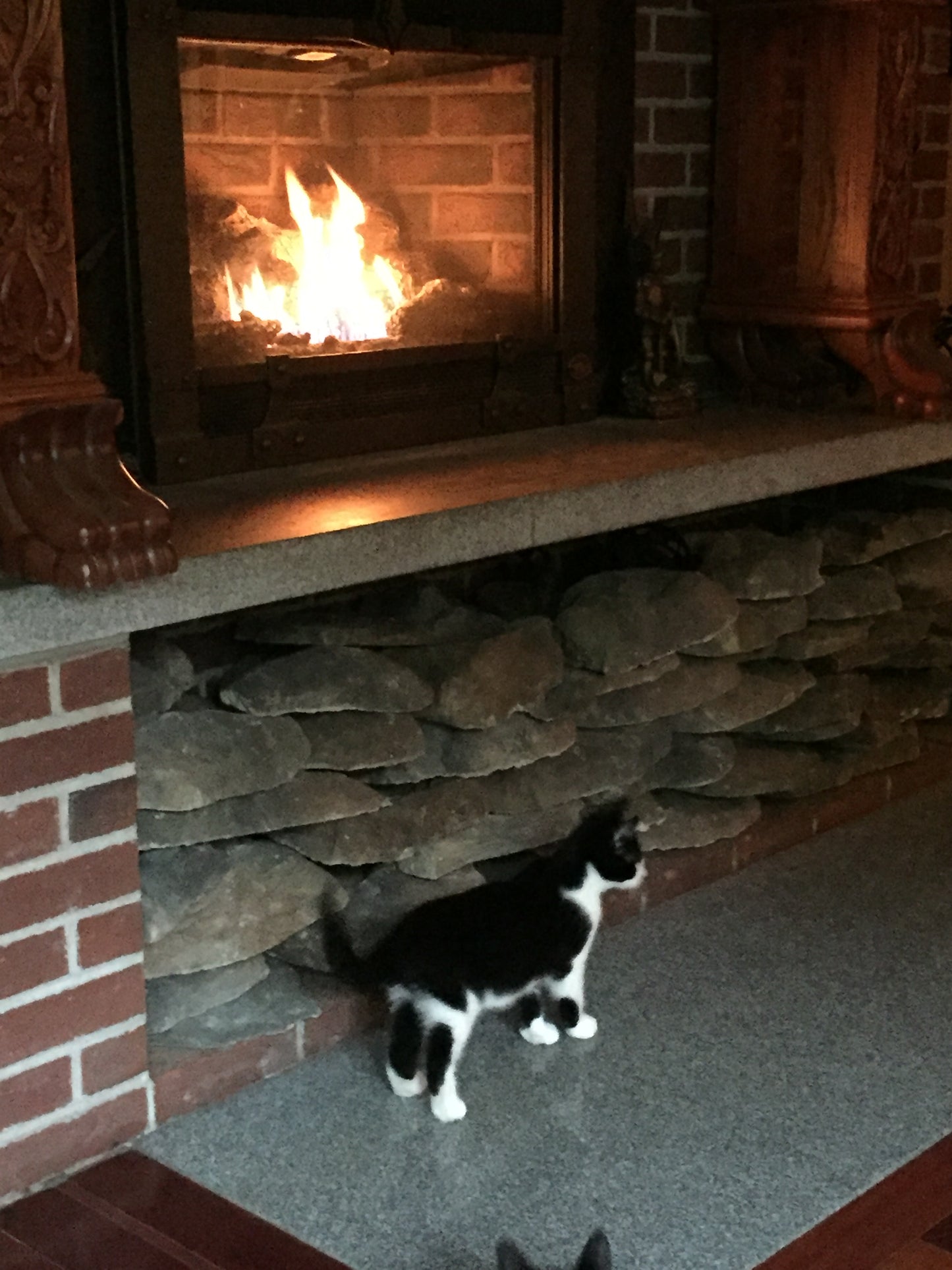Cat lying on a stone hearth next to a fireplace with flames.