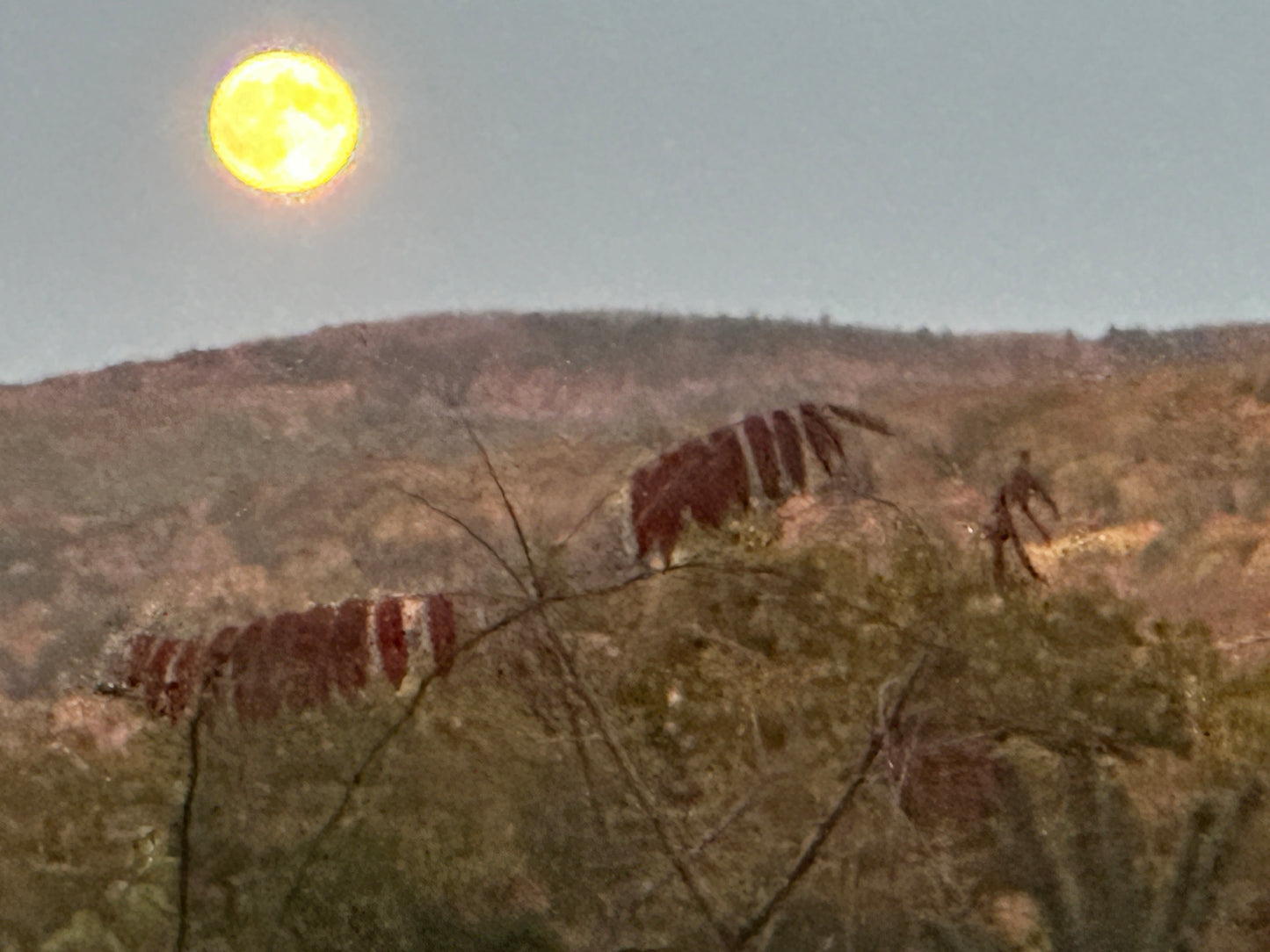 Mountain  with a bright moon in the sky