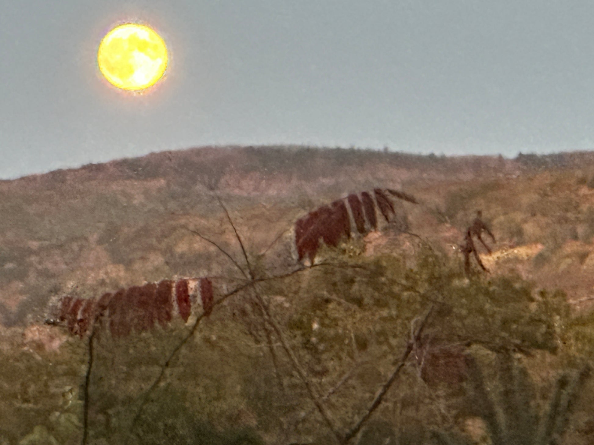 Mountain  with a bright moon in the sky