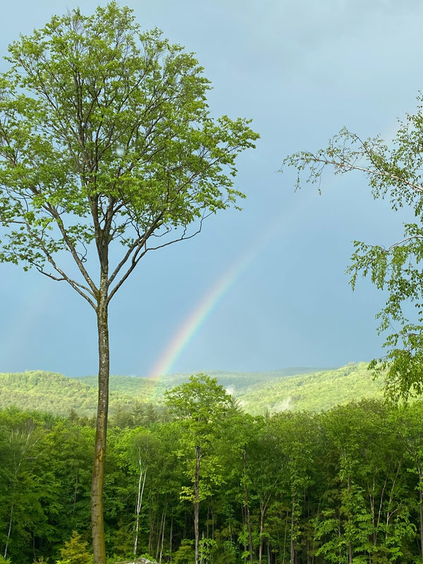 Nature View NH Estate