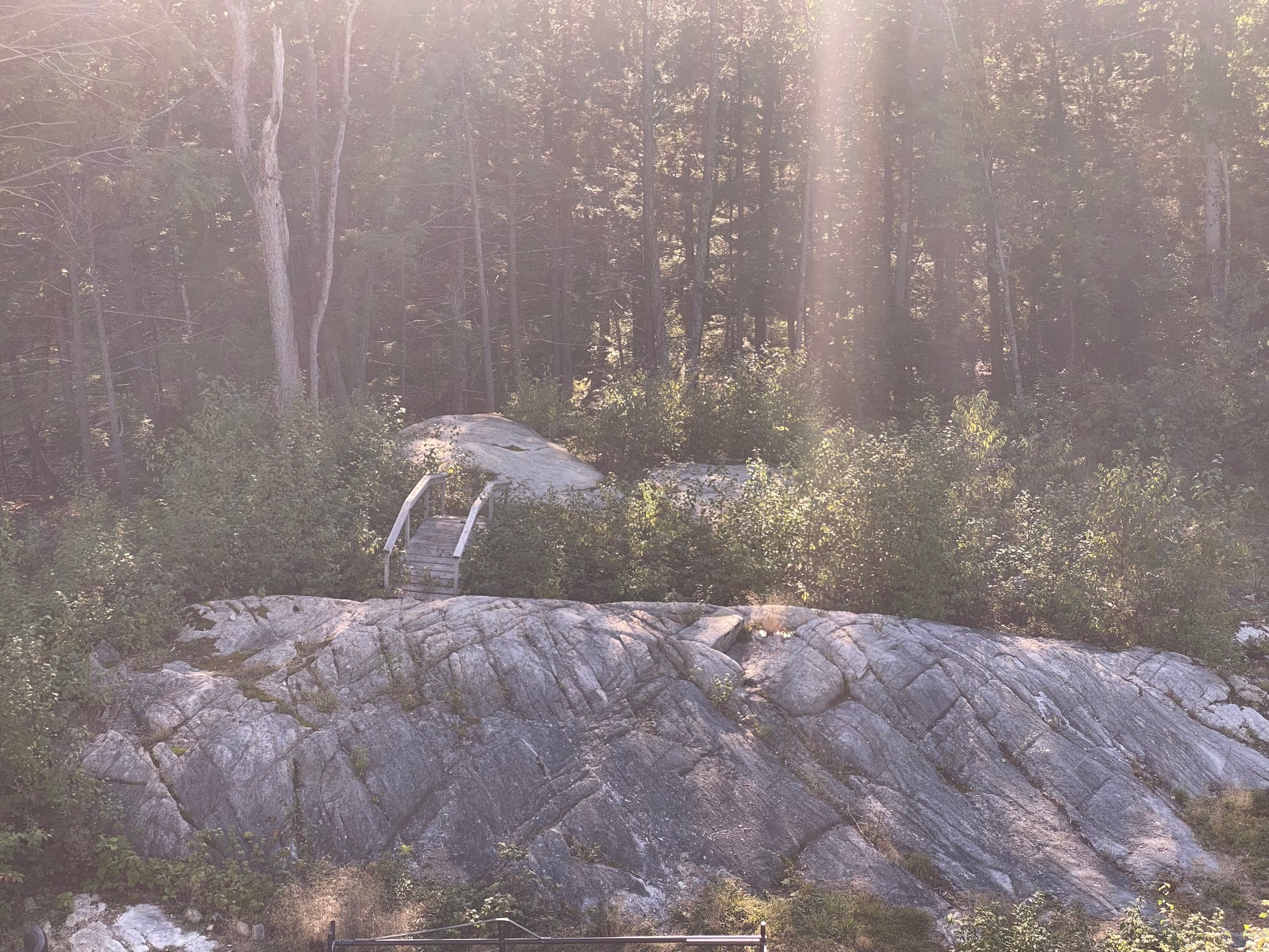 Rocks and trees in a forest with sunlight filtering through the trees onto ledges and bridge in nature at the Nature View NH Estate