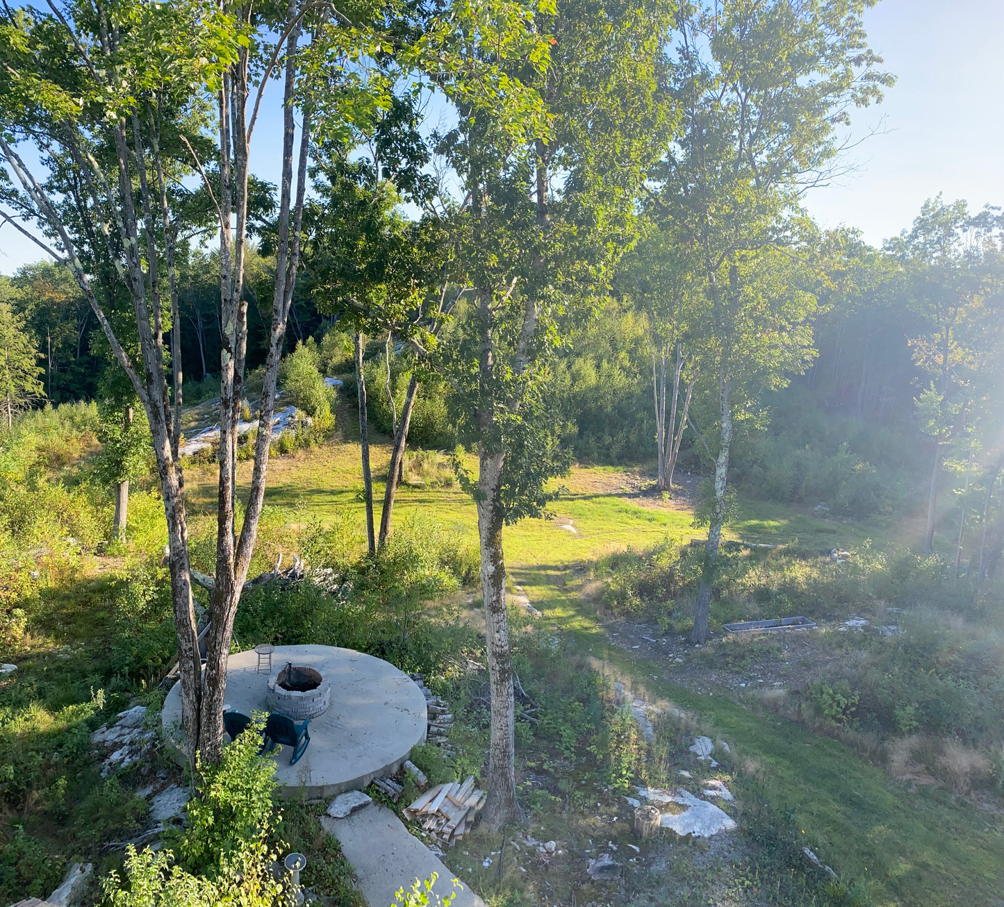 Outdoor setting with a circular stone feature surrounded by trees and greenery